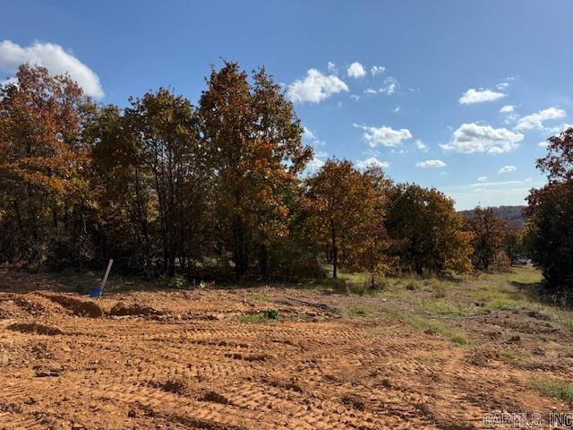 90 Summer Sky Drive Property Photo 2