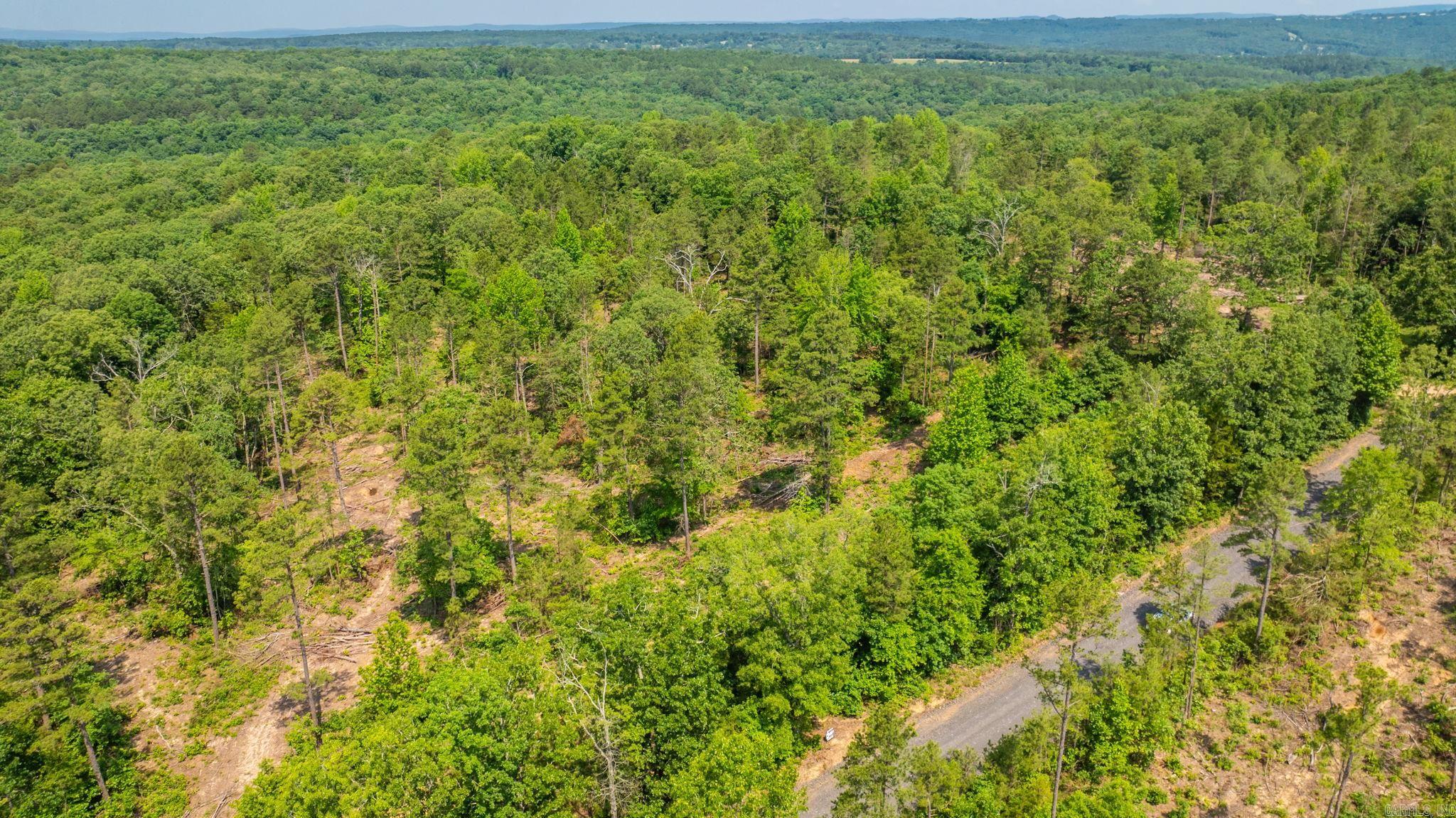Tract 5 Harmony Mountain Road Property Photo 2