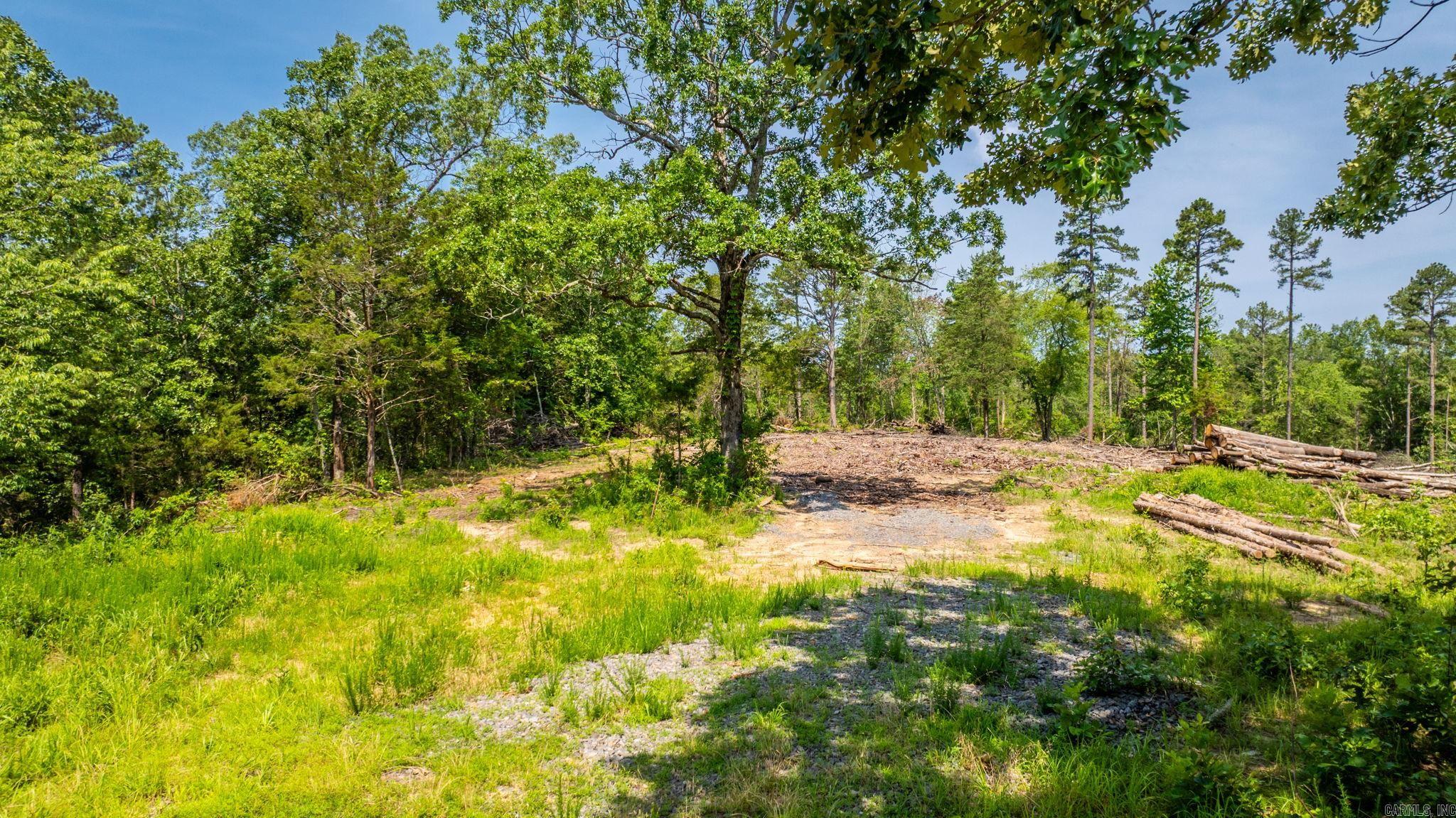 Tract 5 Harmony Mountain Road Property Photo 3