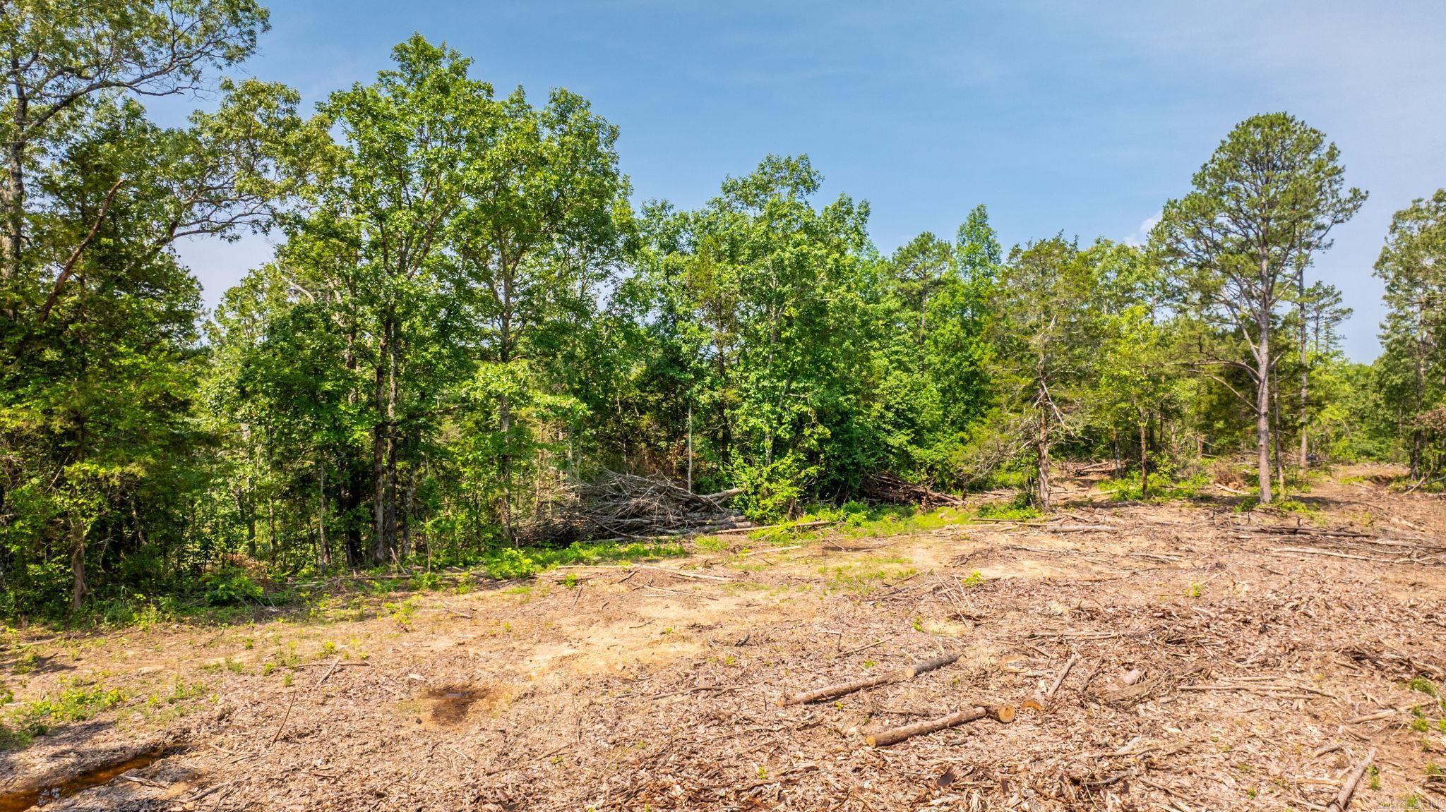 Tract 5 Harmony Mountain Road Property Photo 5