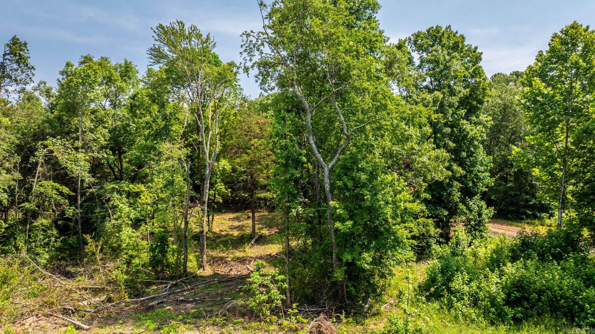 Tract 5 Harmony Mountain Road Property Photo 7