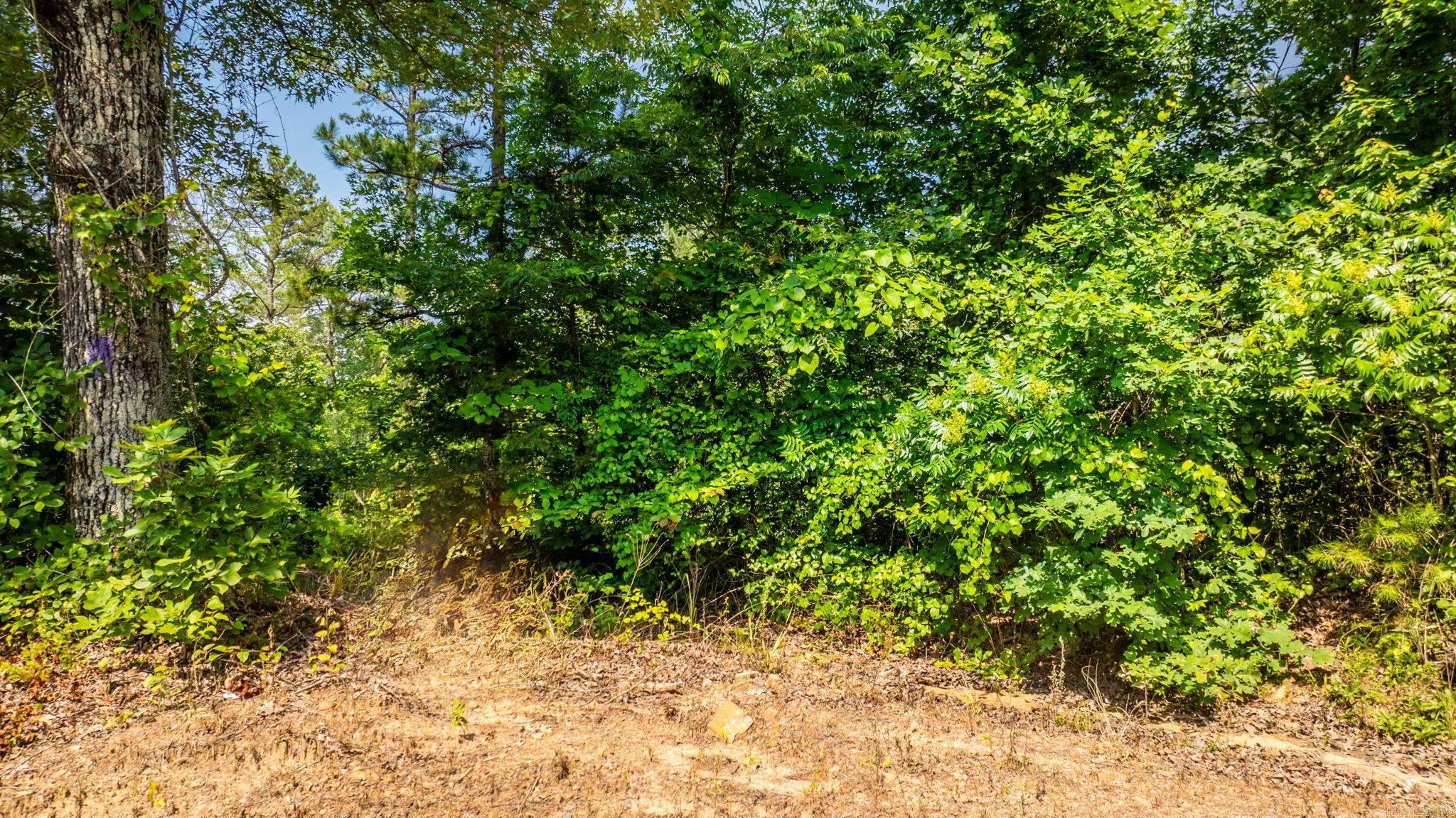 Tract 5 Harmony Mountain Road Property Photo 18