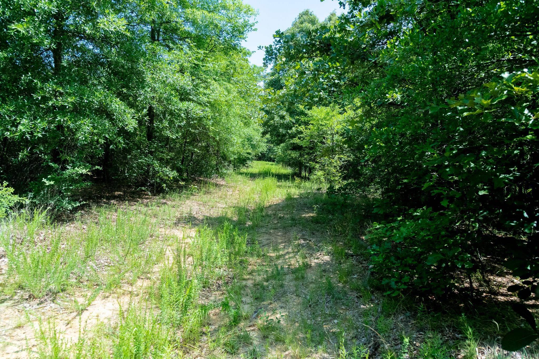 0000 Greenfield Property Photo 13