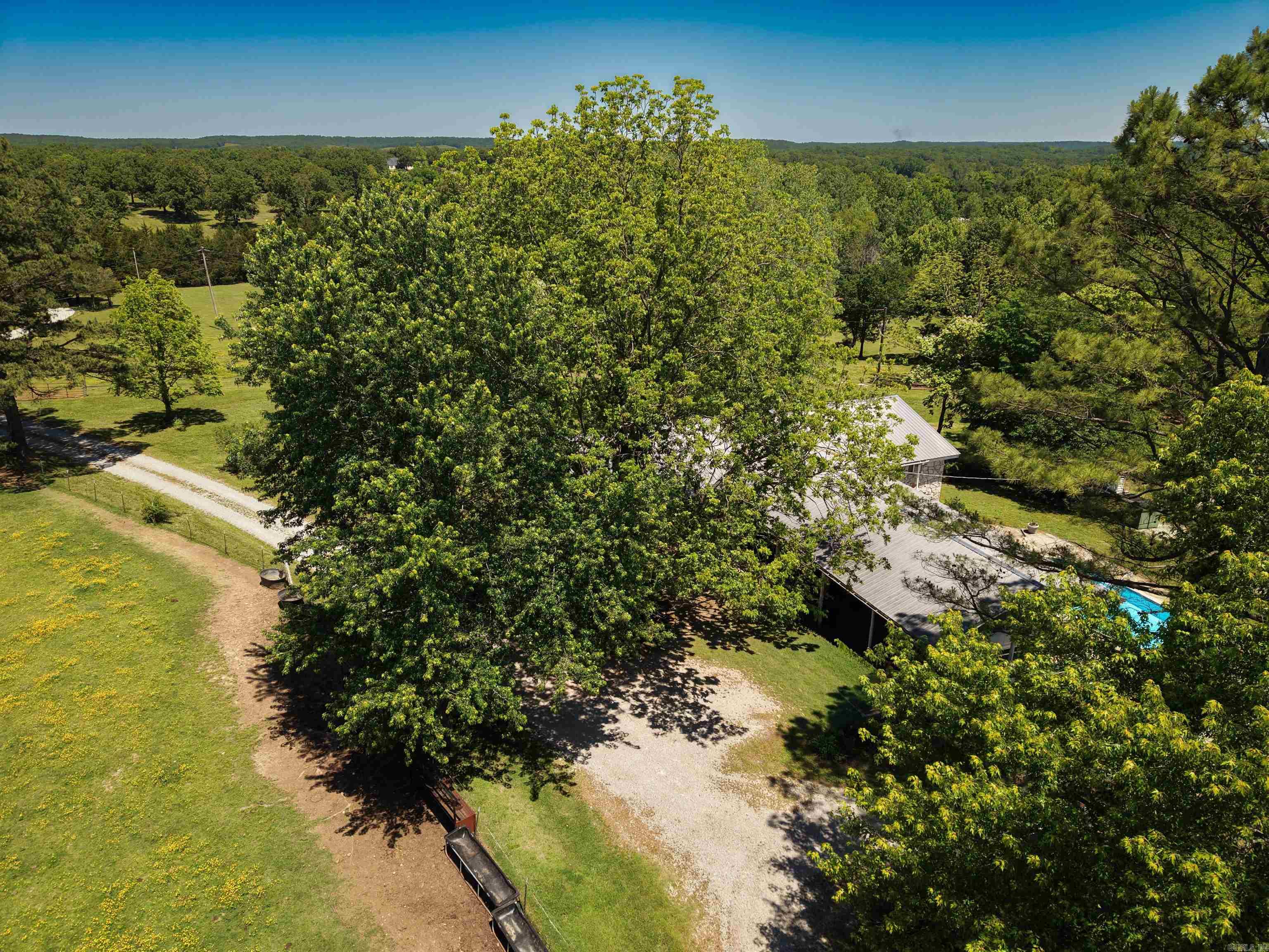 9982 Highway 62 Property Photo 28