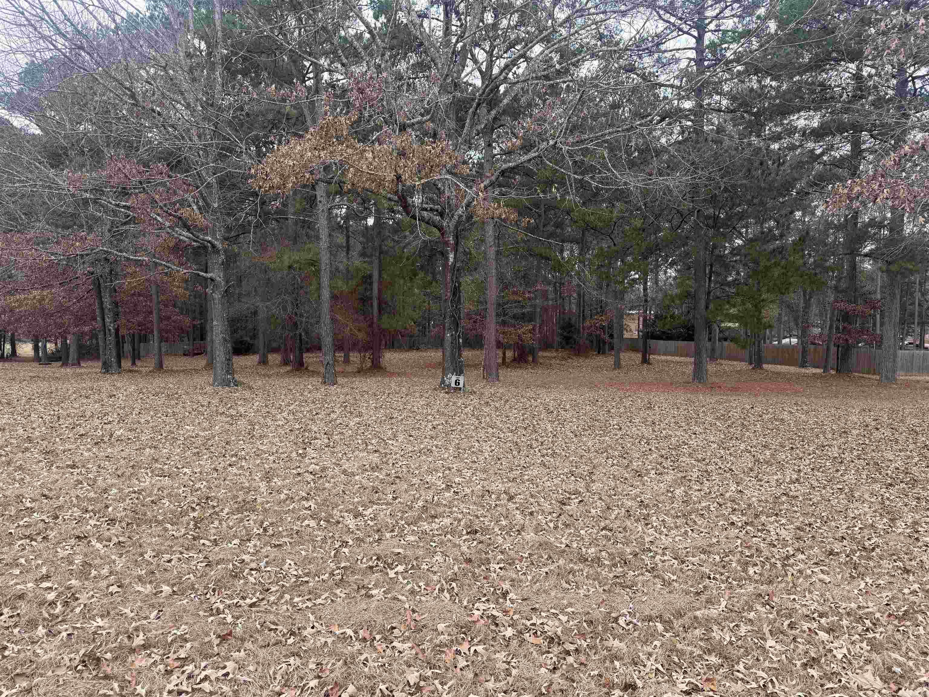 Quail Creek, Lot 6