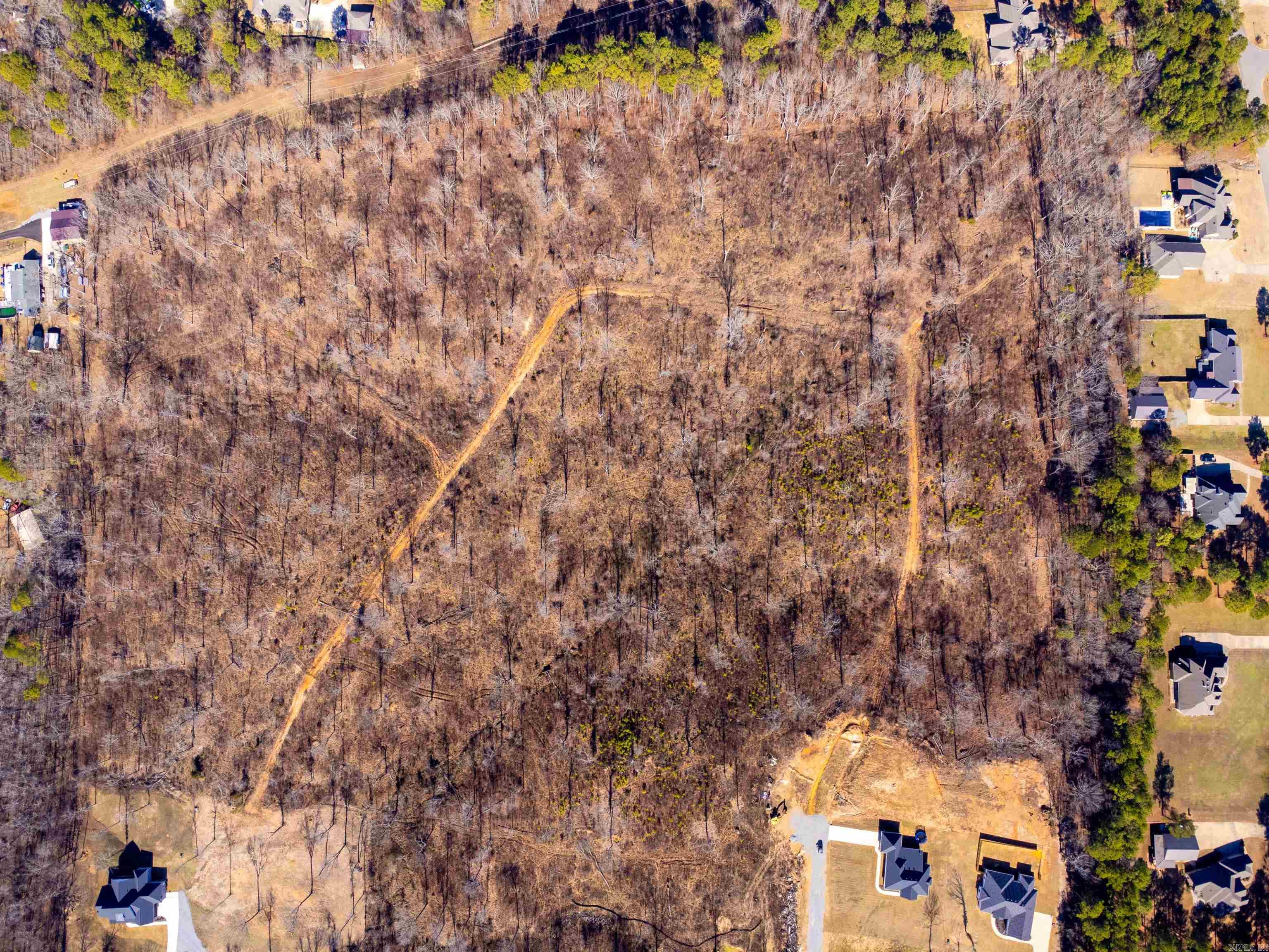 31 Ac. River Ridge Road Property Photo 6