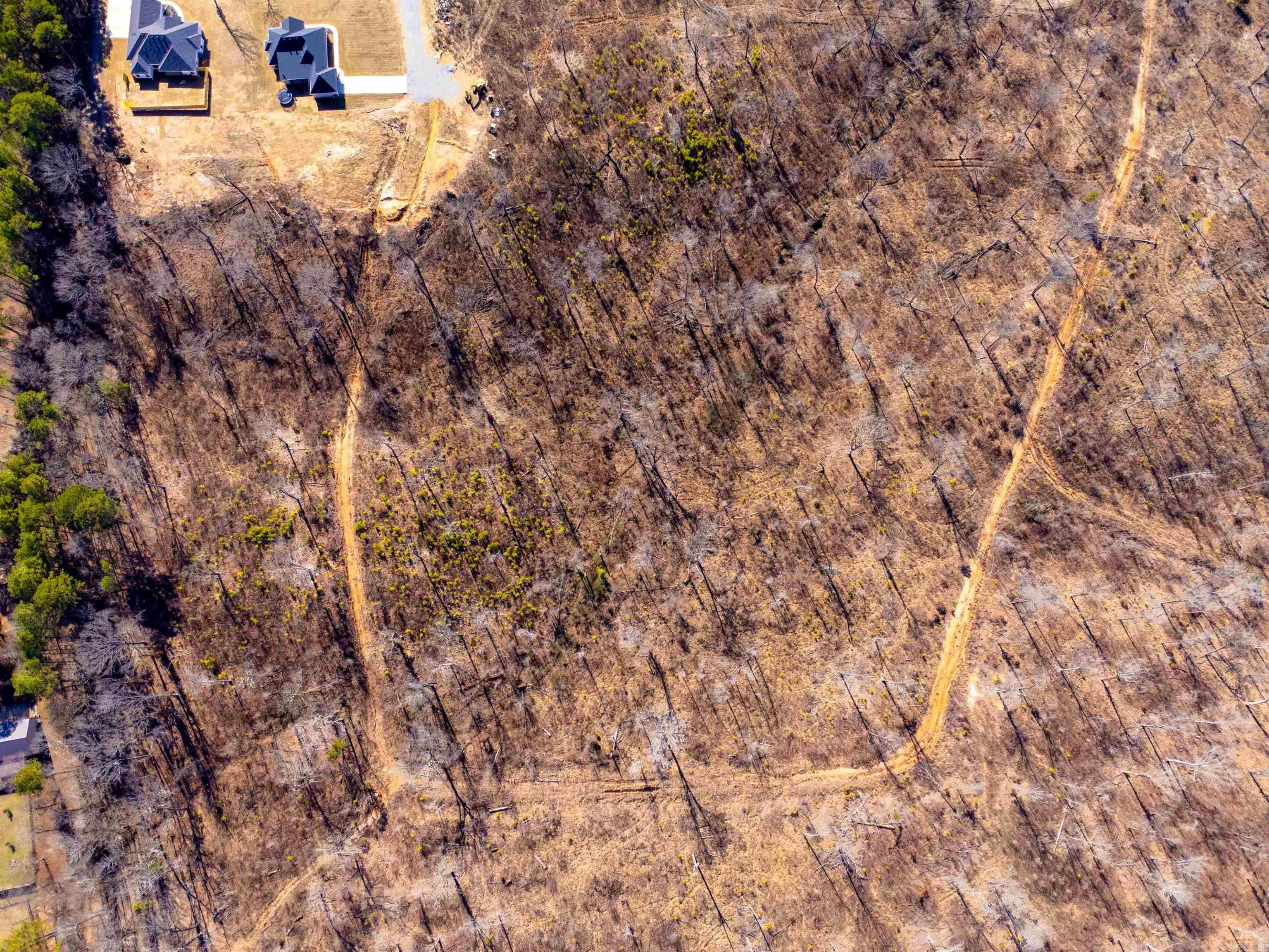 31 Ac. River Ridge Road Property Photo 7