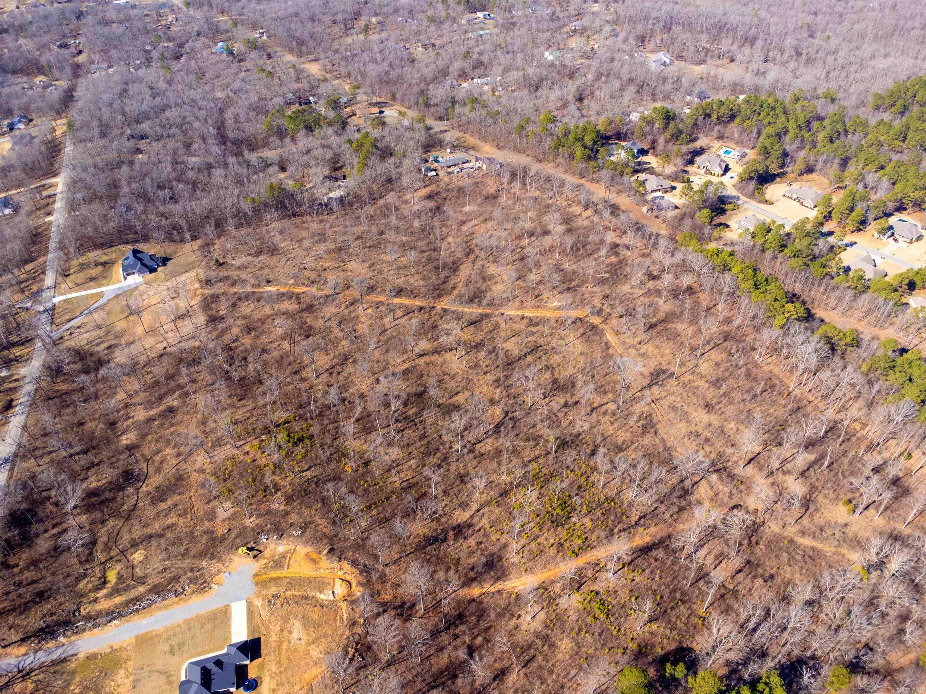 31 Ac. River Ridge Road Property Photo 8