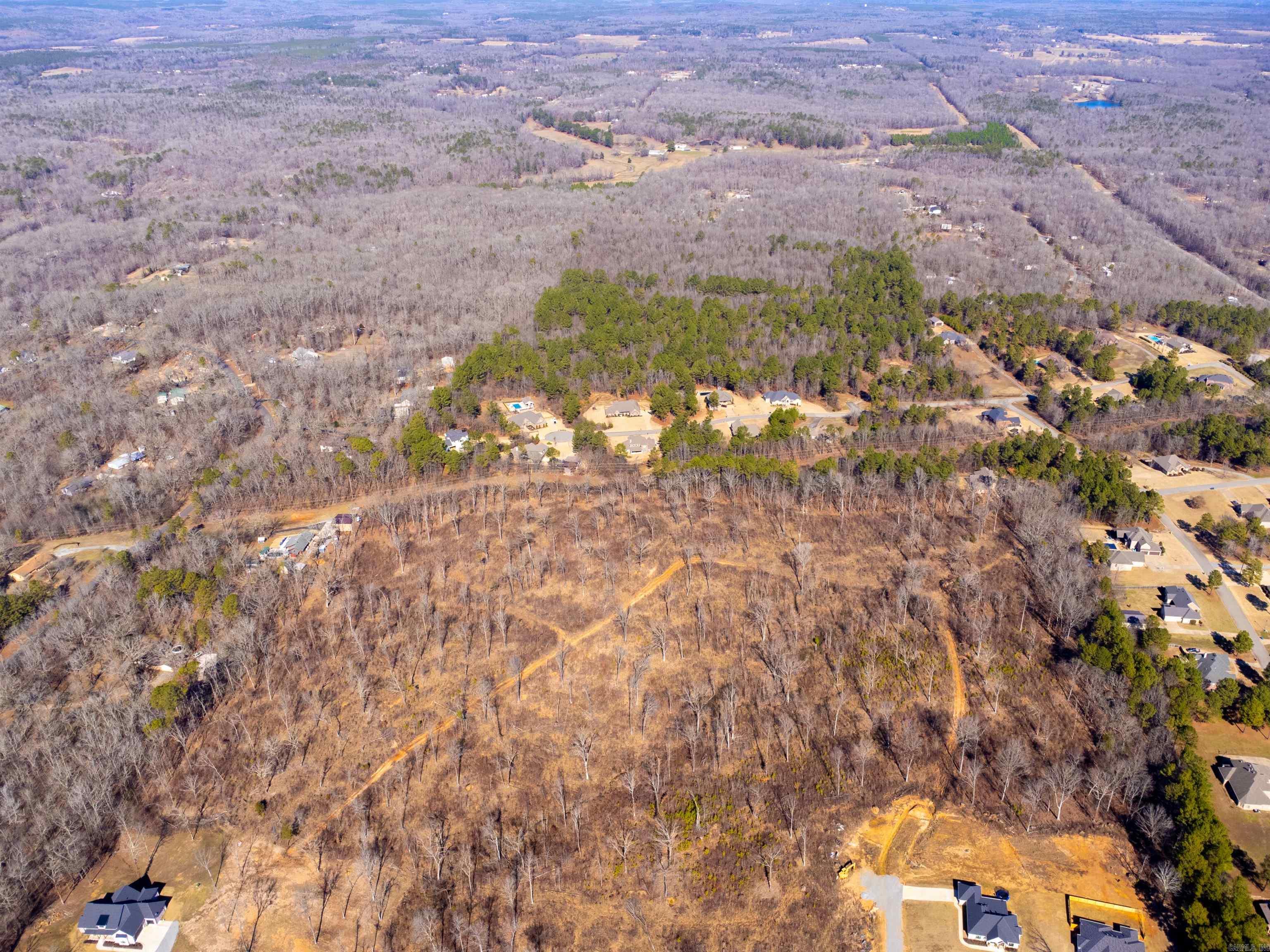31 Ac. River Ridge Road Property Photo 9