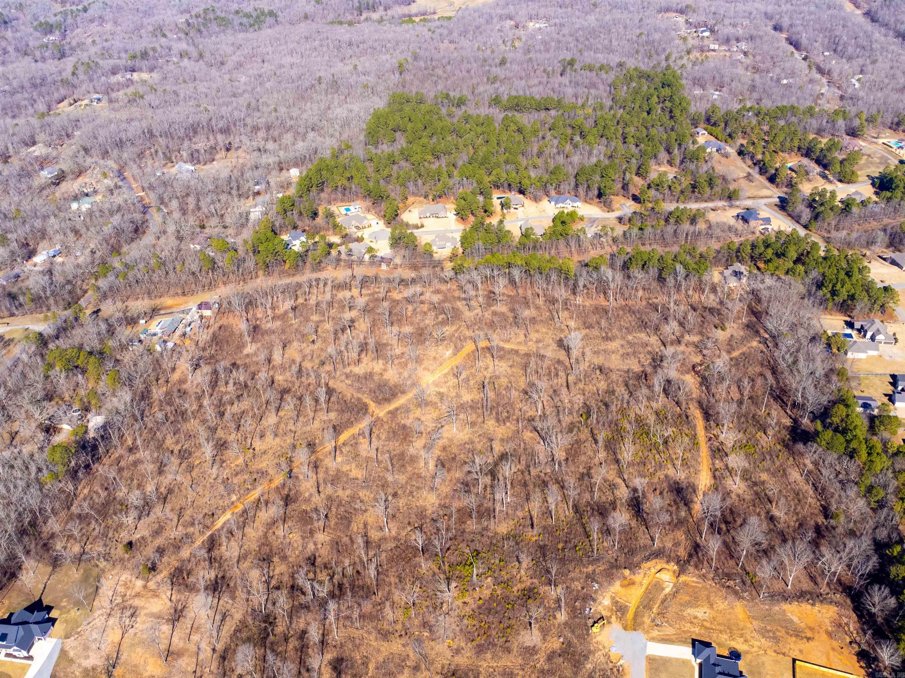 31 Ac. River Ridge Road Property Photo 10