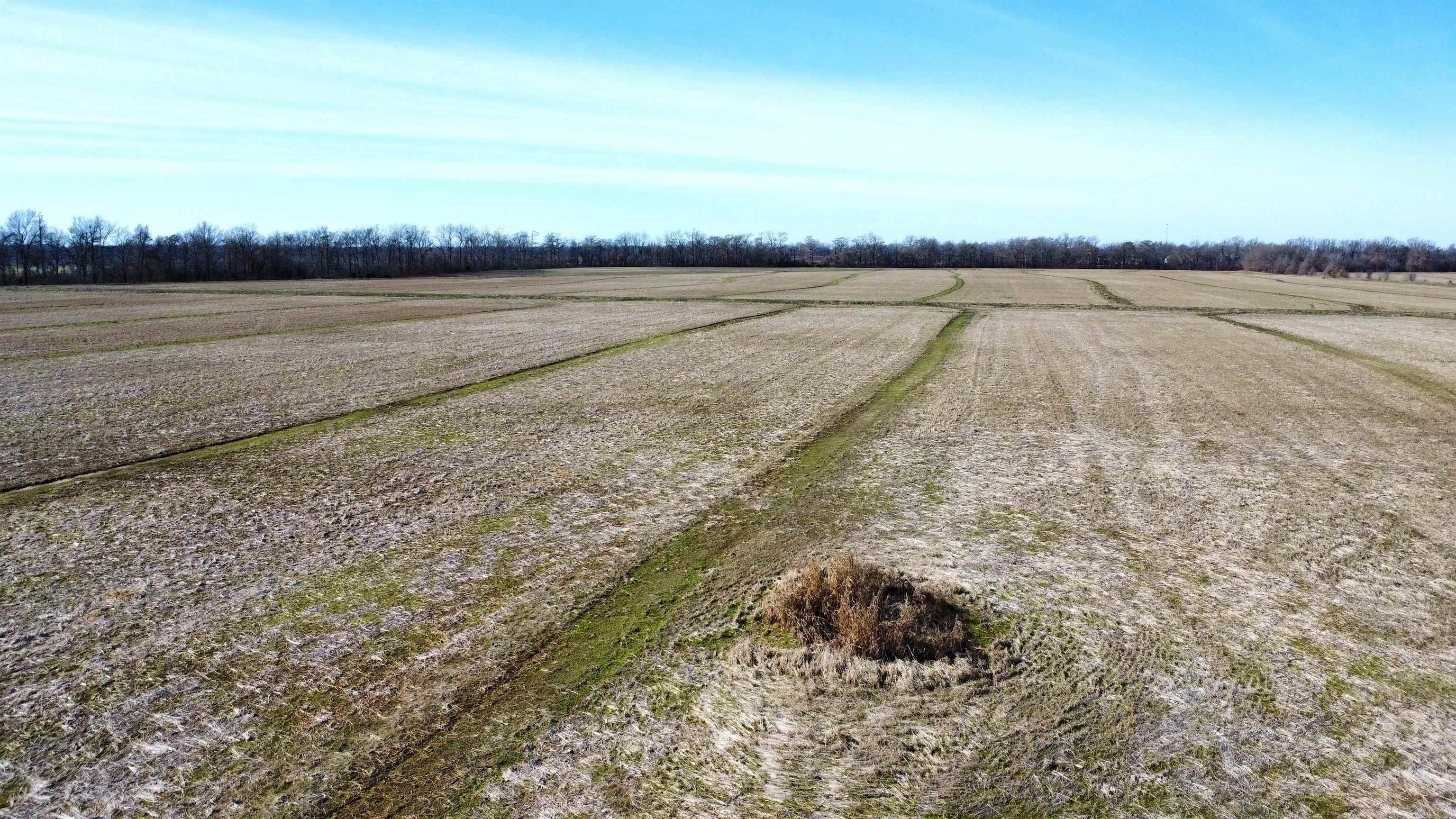 21870 Highway 70 Property Photo 6