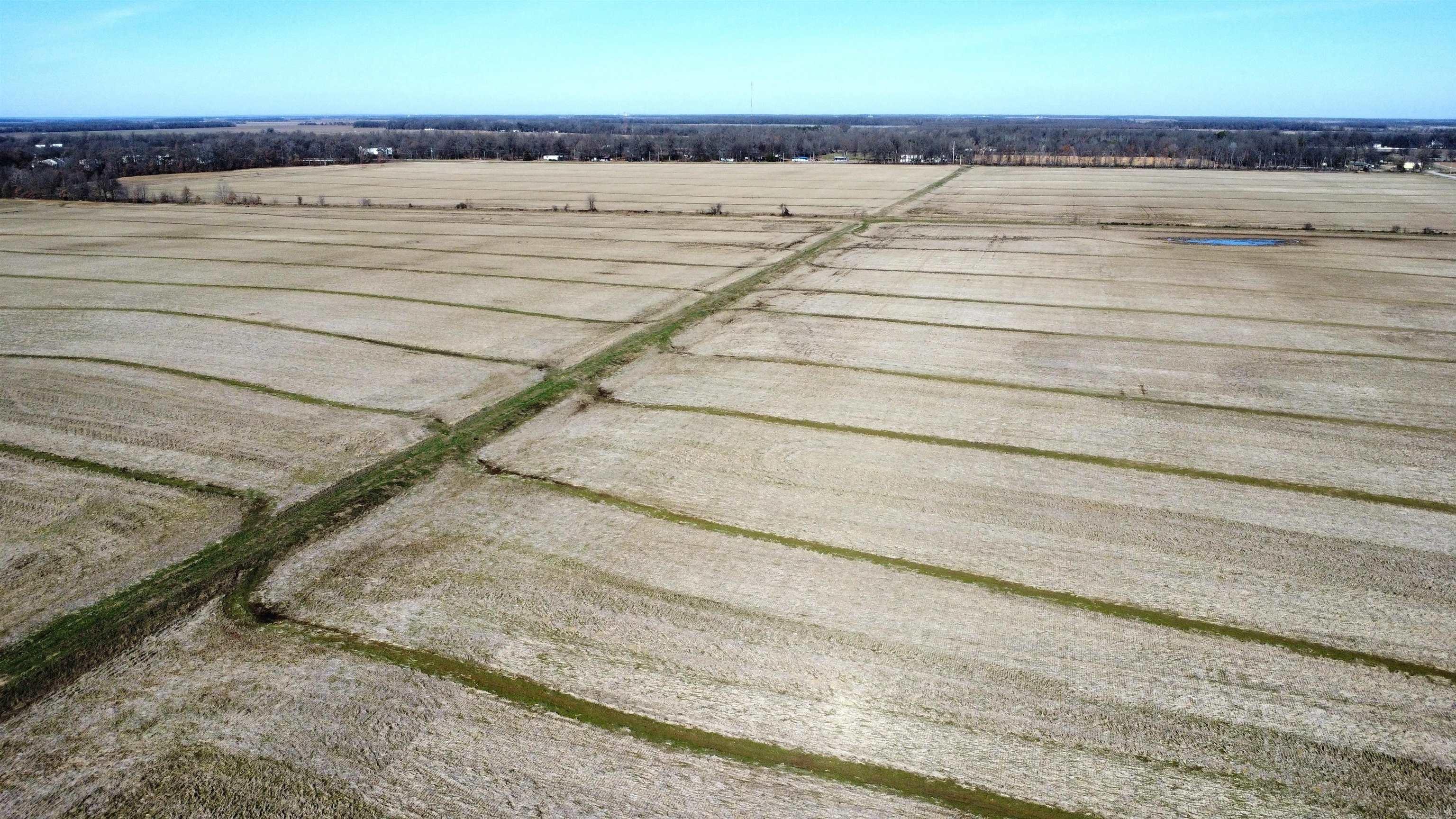 21870 Highway 70 Property Photo 8
