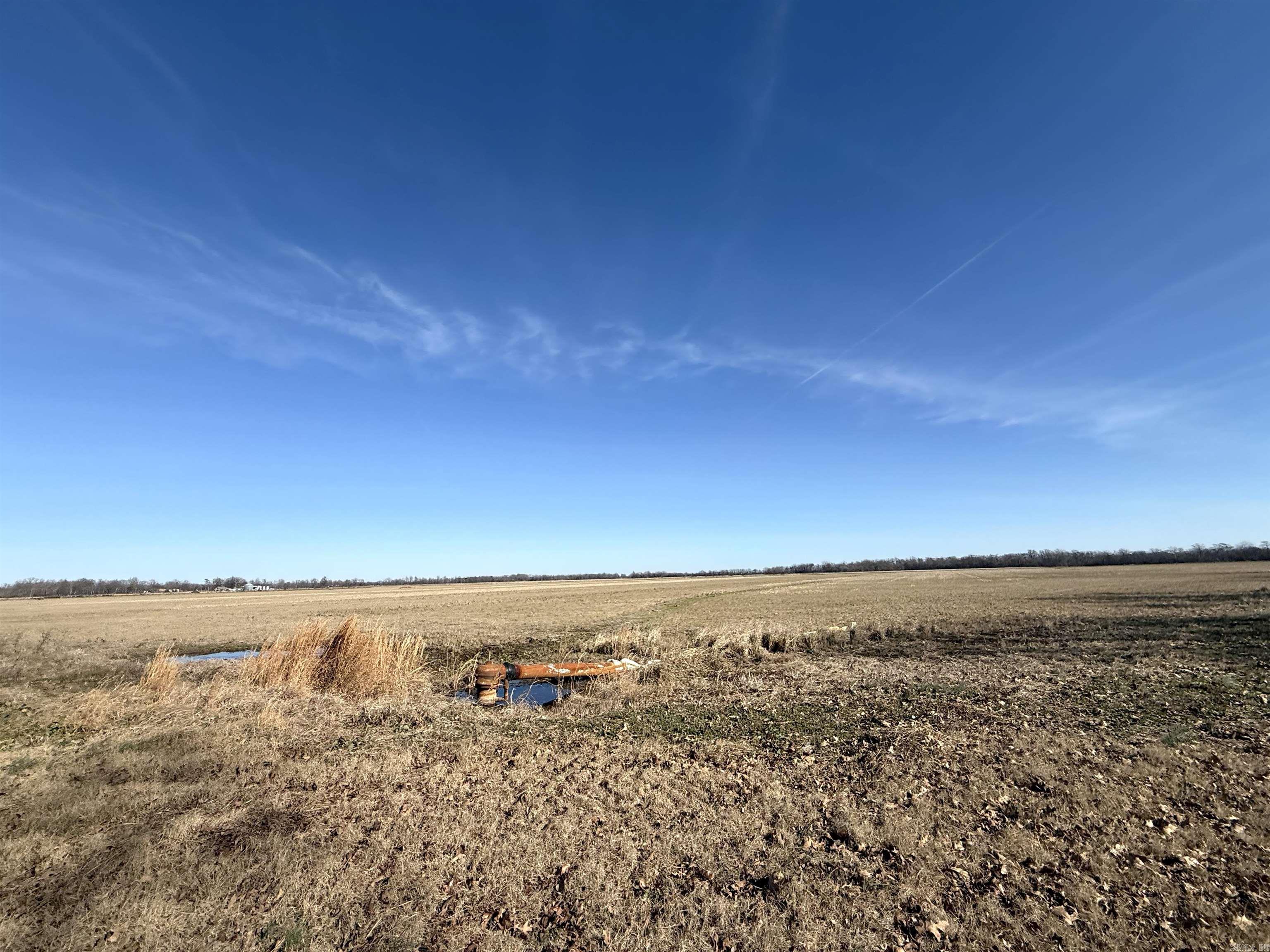 21870 Highway 70 Property Photo 22