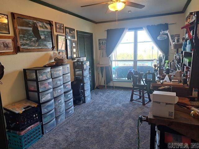 155 Timber Ridge Road Road Property Photo 14
