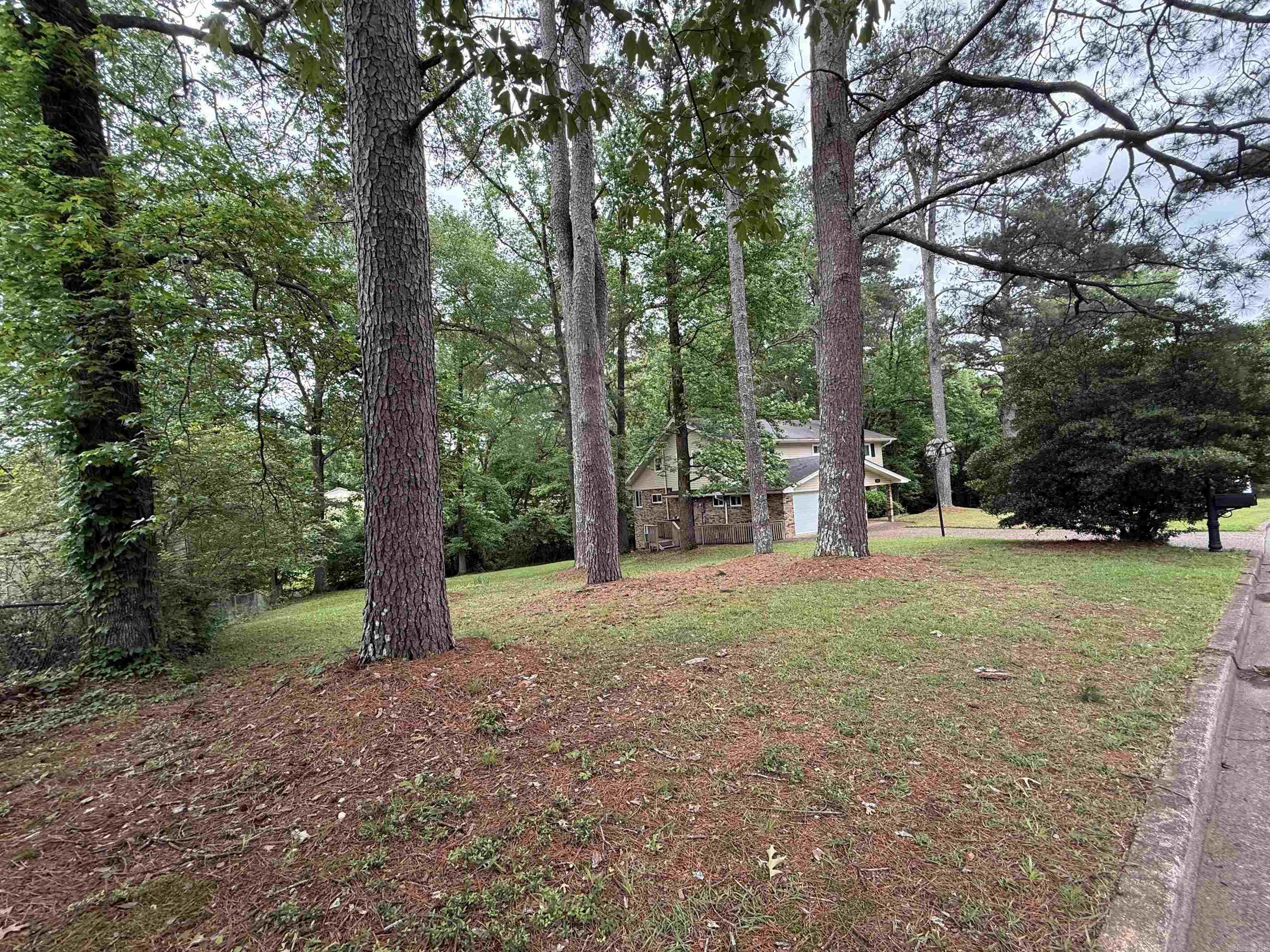115 Evonshire Street Property Photo 10