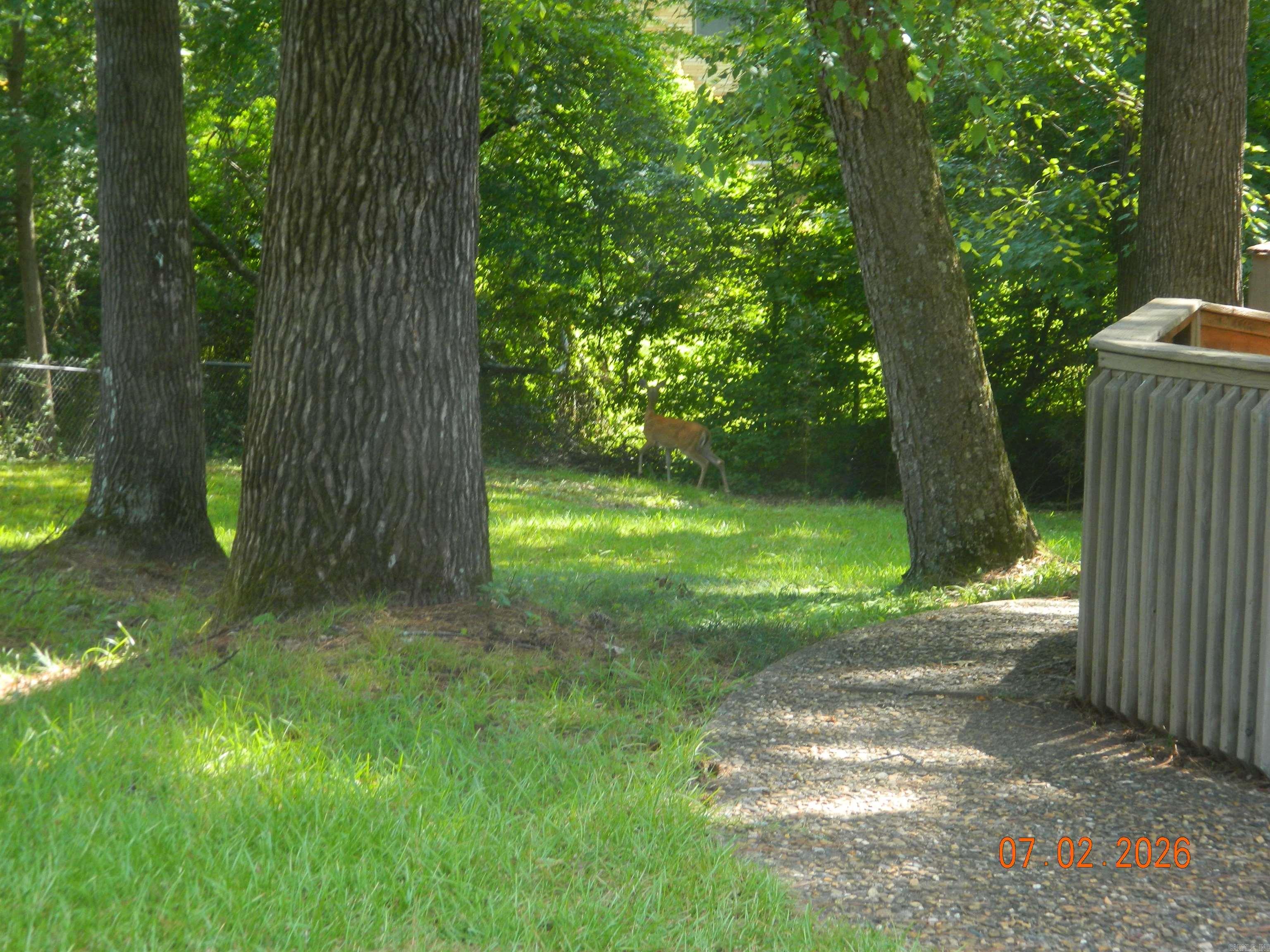 115 Evonshire Street Property Photo 40