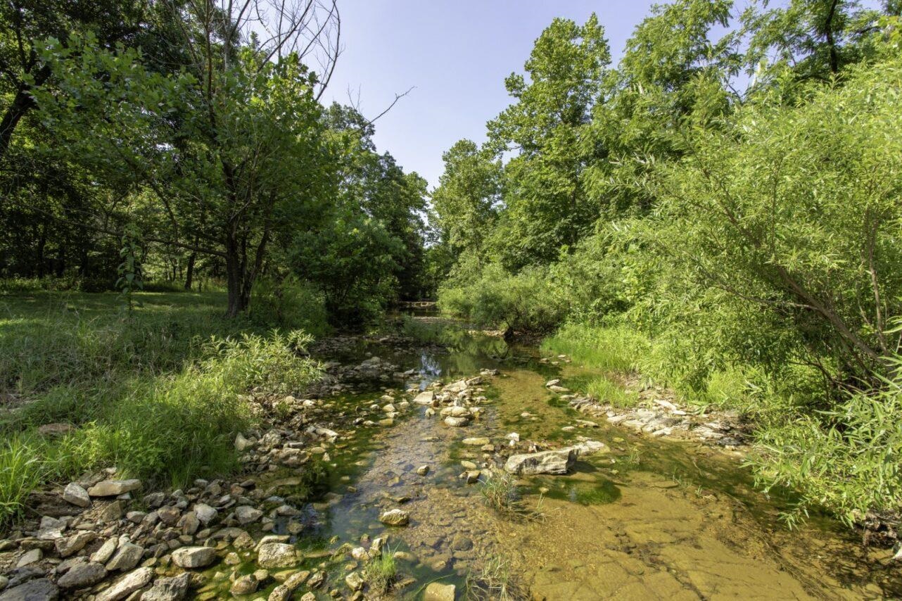 218 River Road Property Photo 19