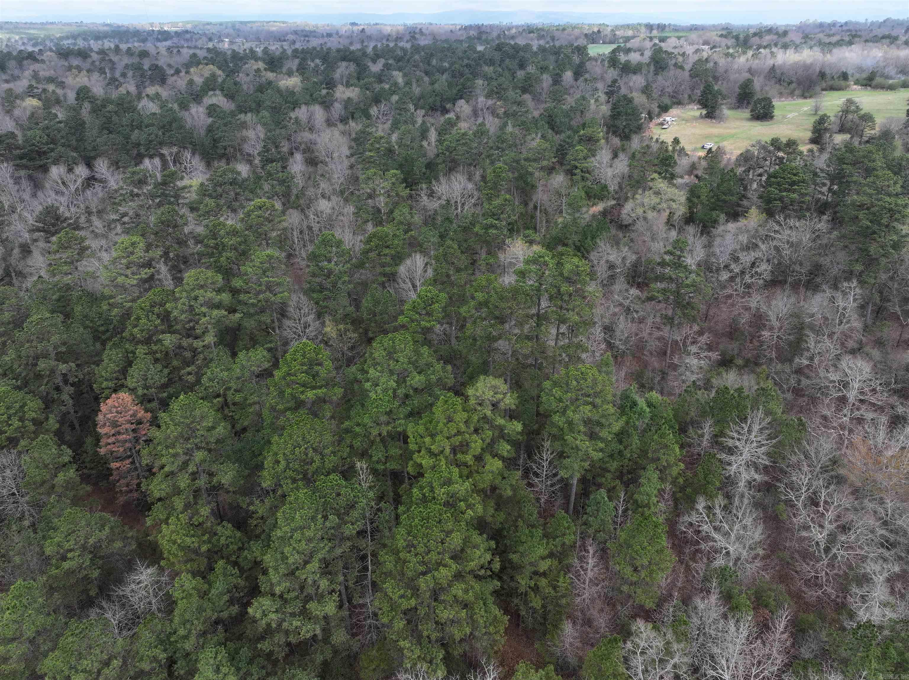Tbd Easement Road Off Polk Road 31 Property Photo 1