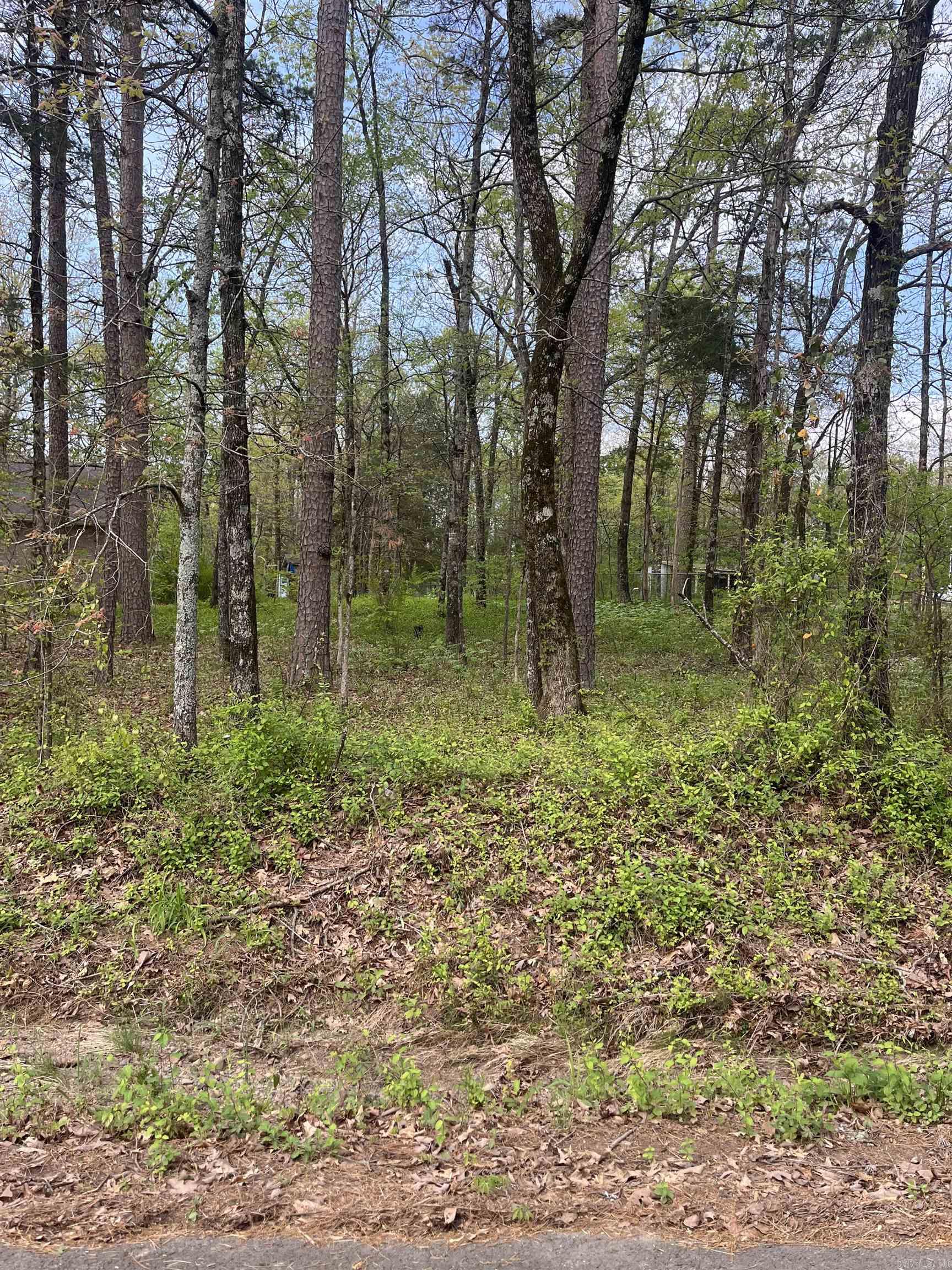Clinton Kip Lane Property Photo 1