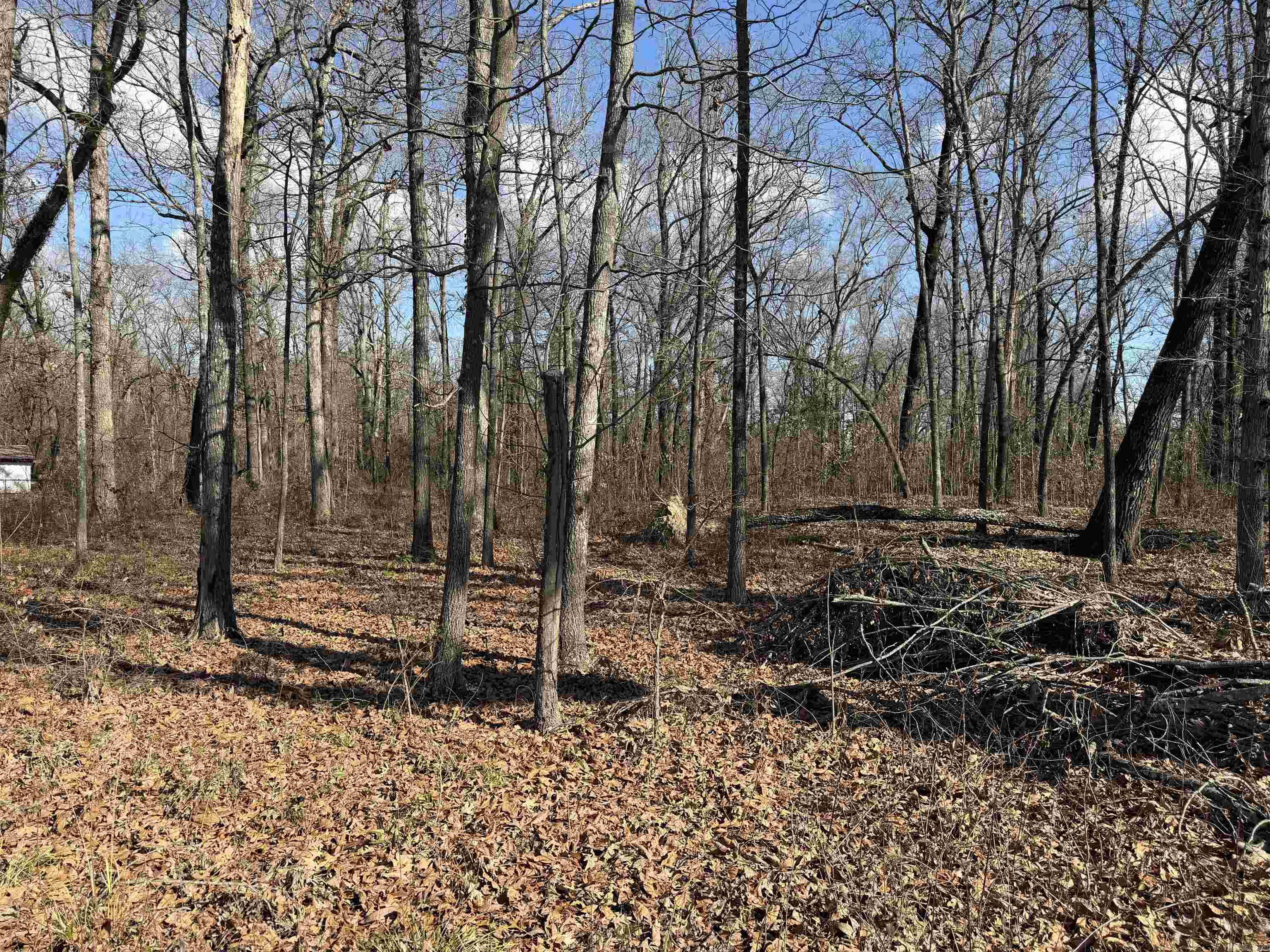 3903 Mallard Drive Property Photo 3