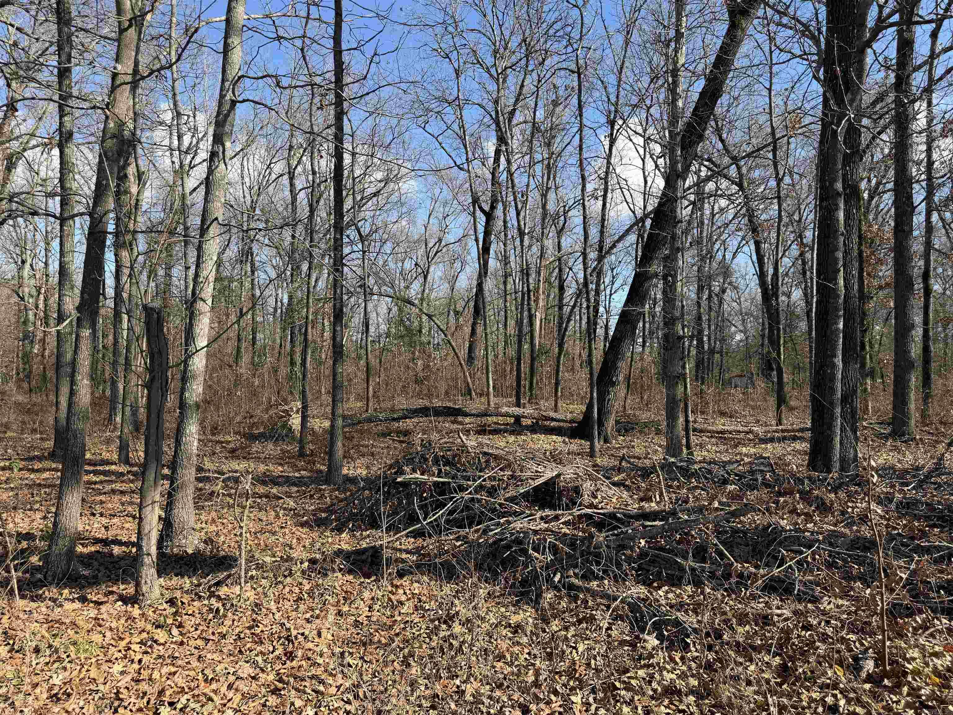 3903 Mallard Drive Property Photo 4
