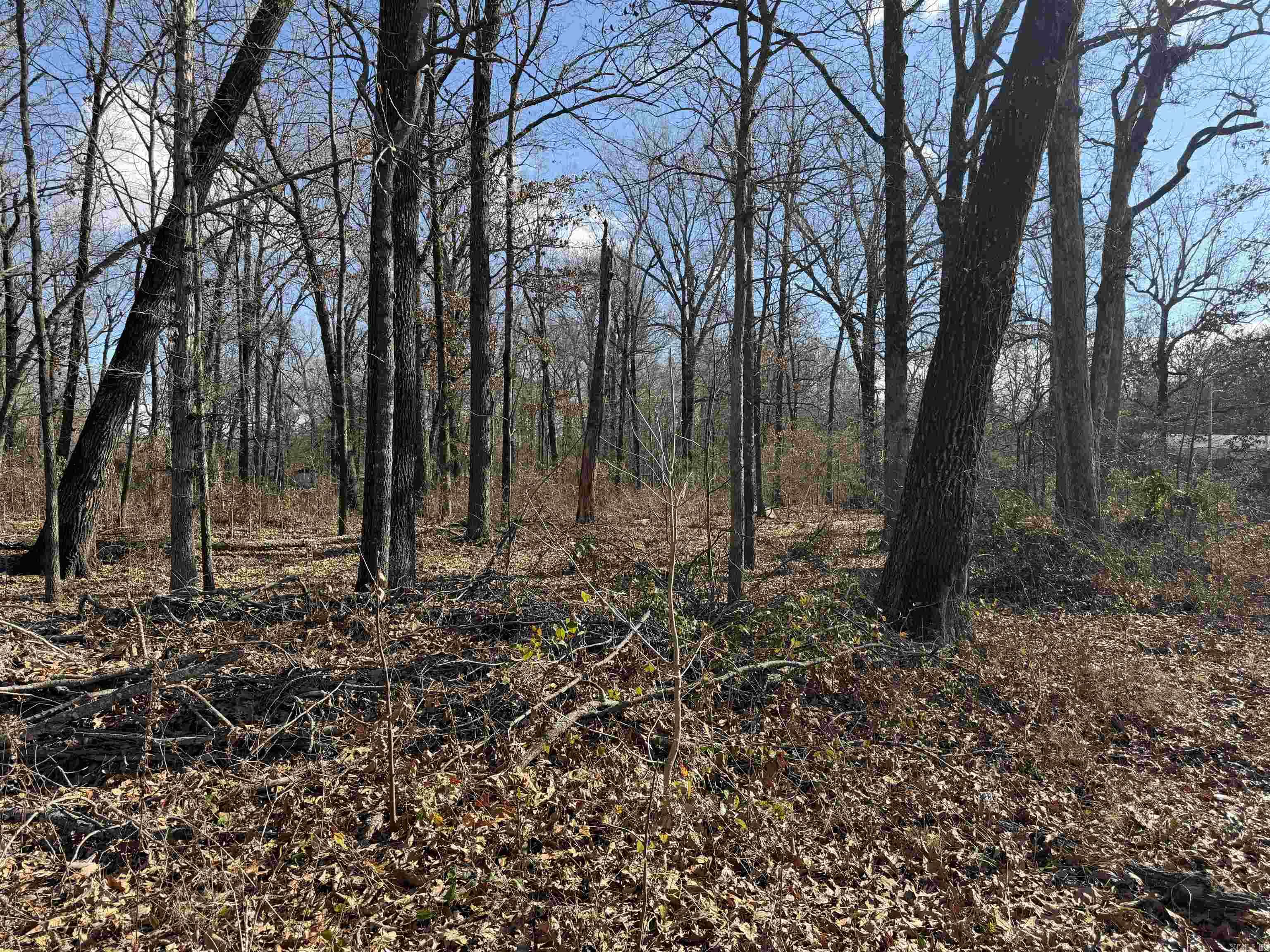 3903 Mallard Drive Property Photo 5