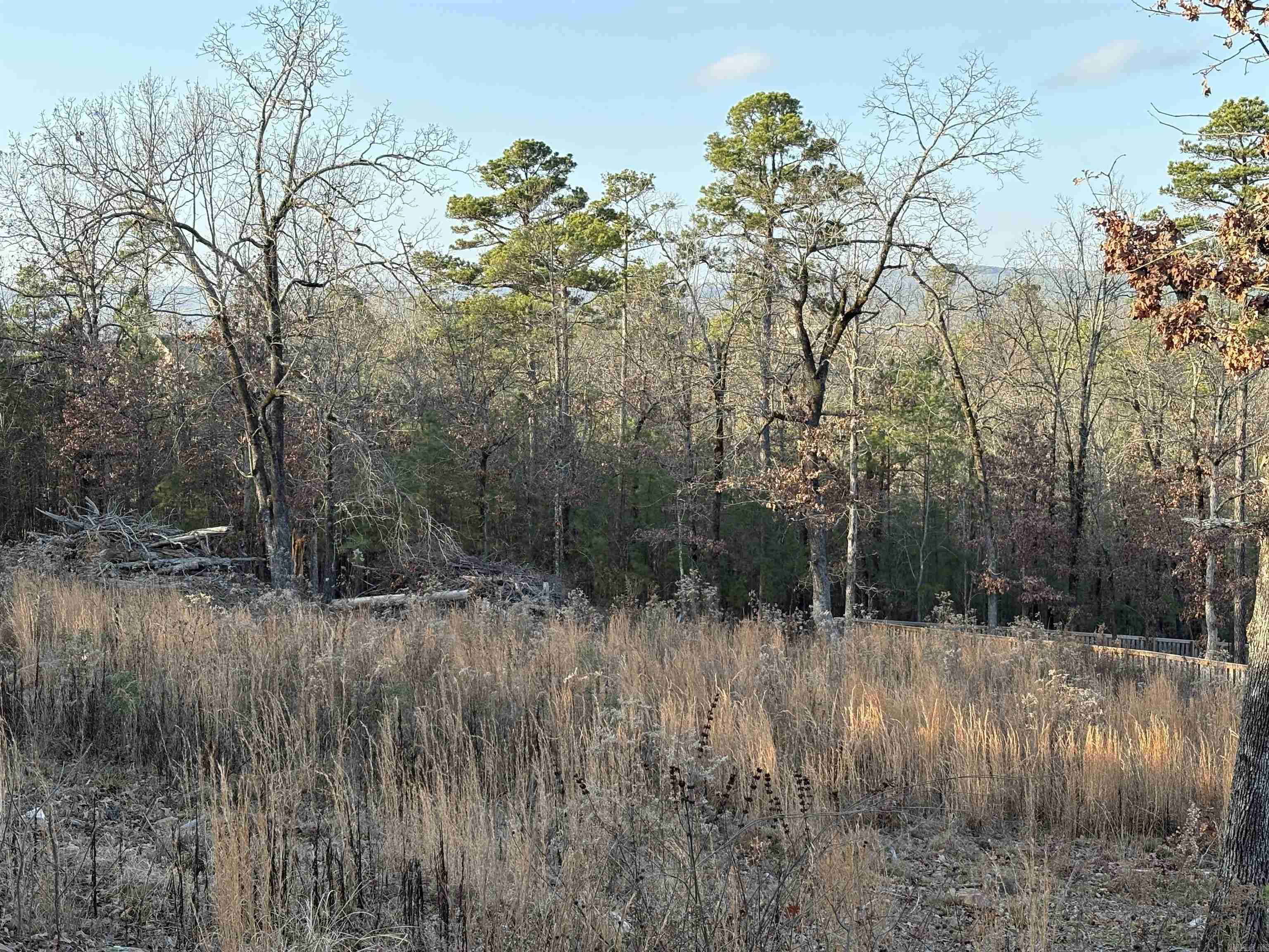 Lot 321 Waterview Meadows Lane Property Photo 5