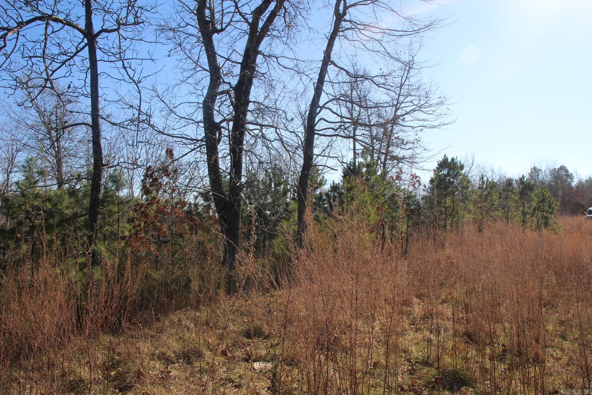 001-00494-003 Tator Knob Lane Property Photo 5