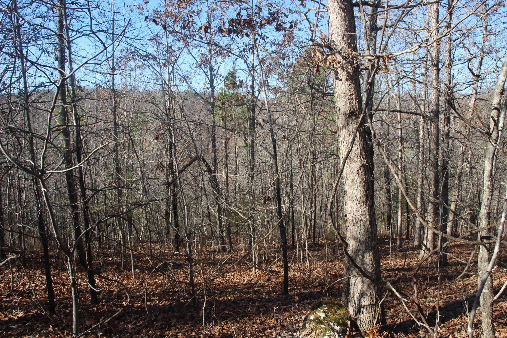 001-00494-003 Tator Knob Lane Property Photo 7