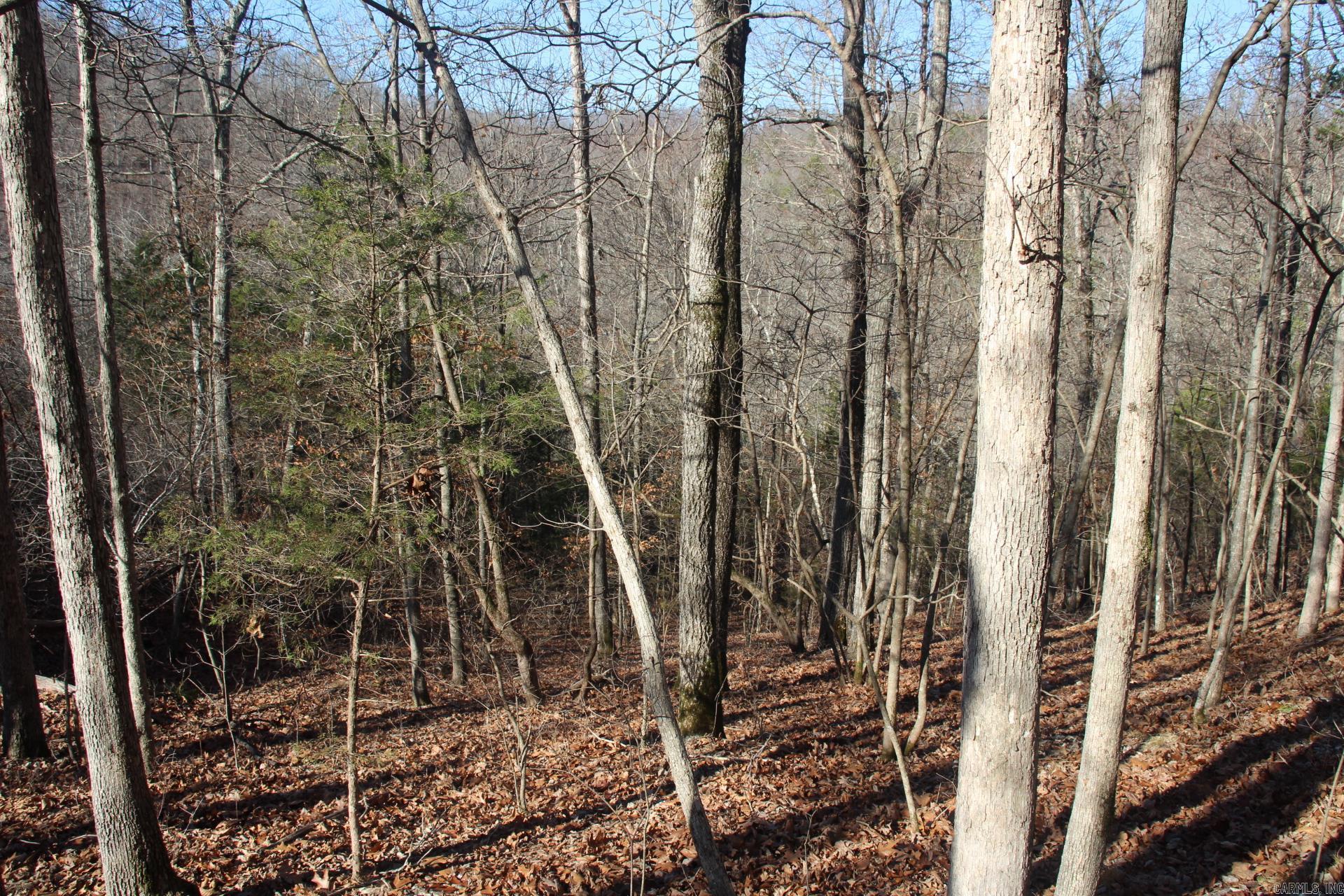 001-00494-003 Tator Knob Lane Property Photo 8