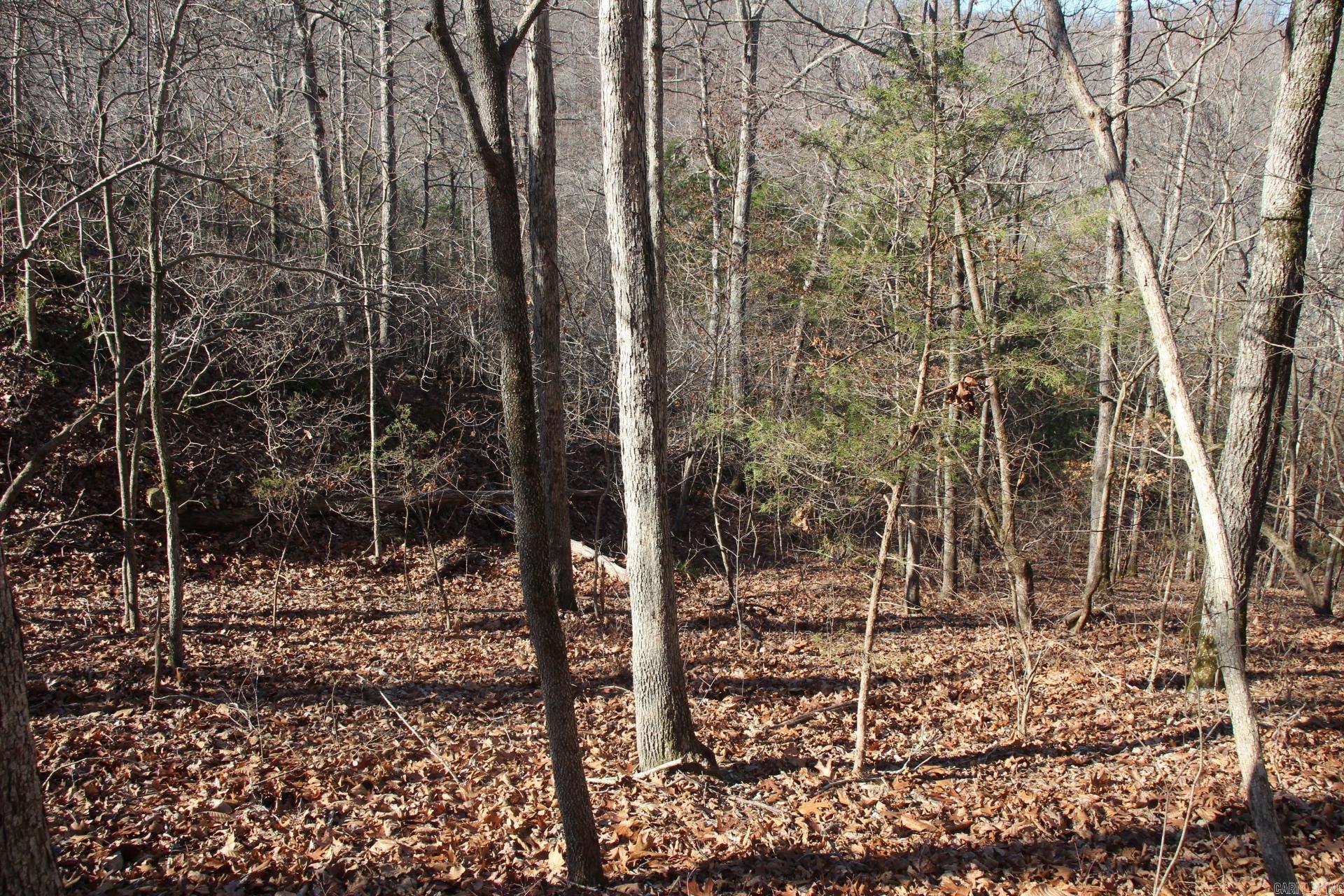 001-00494-003 Tator Knob Lane Property Photo 9