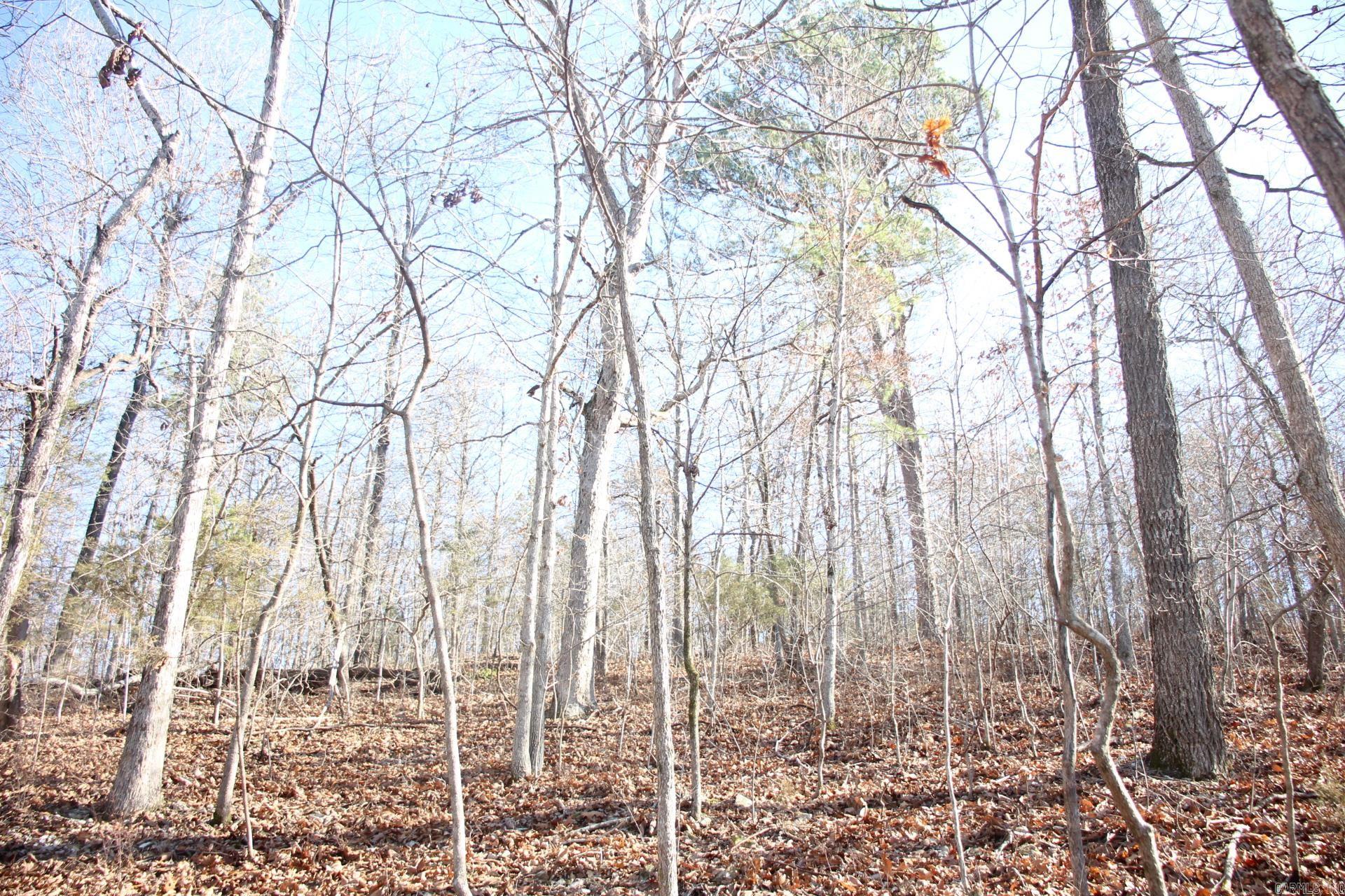 001-00494-003 Tator Knob Lane Property Photo 10