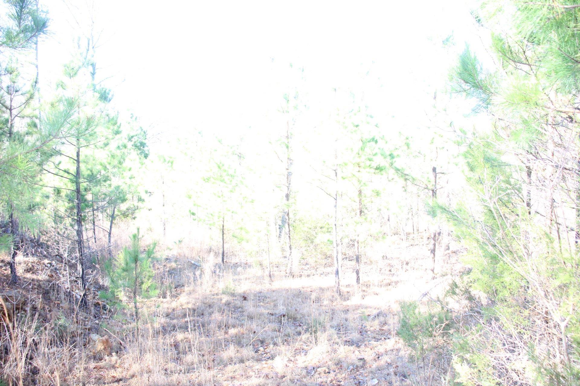 001-00494-003 Tator Knob Lane Property Photo 12