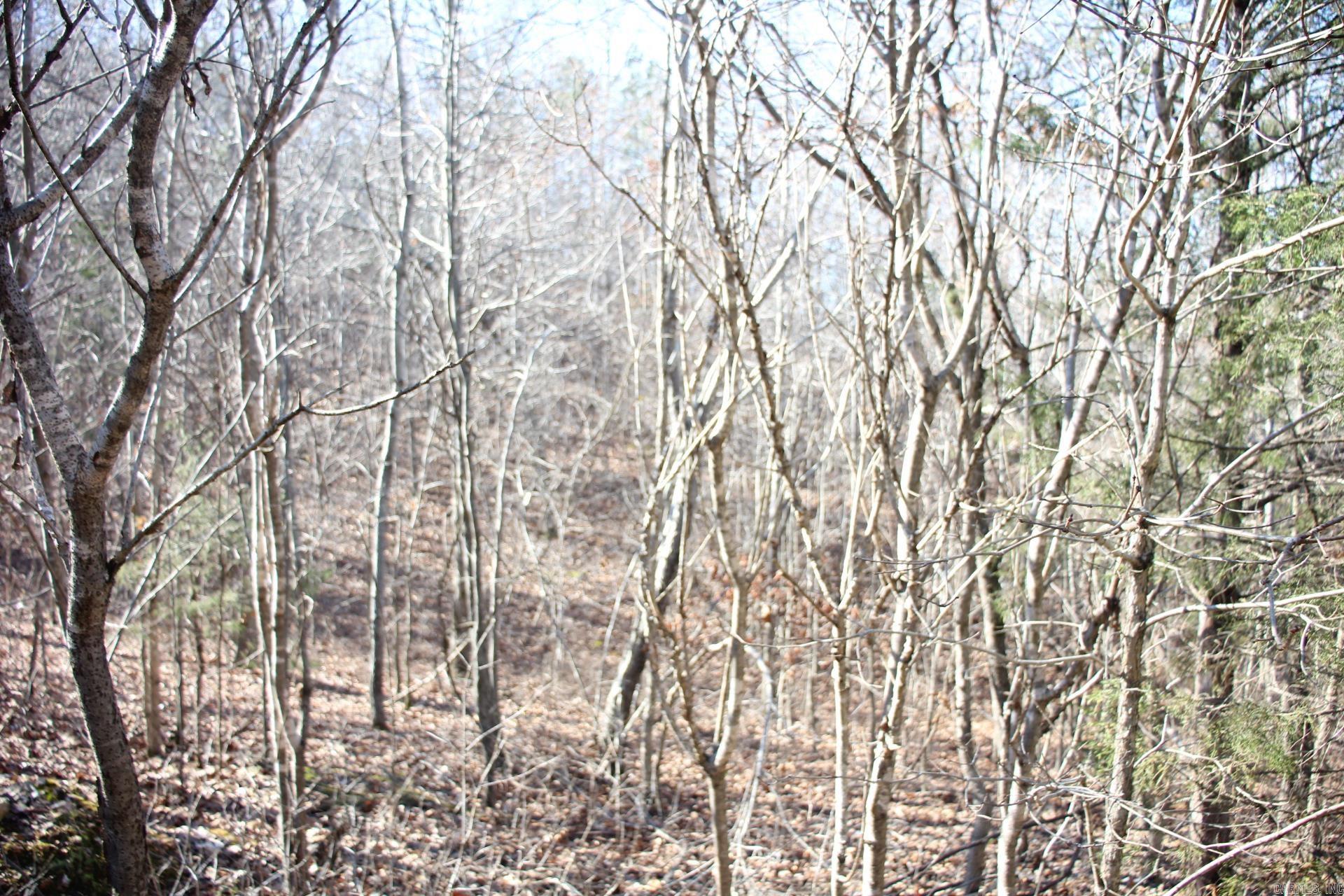 001-00494-003 Tator Knob Lane Property Photo 13