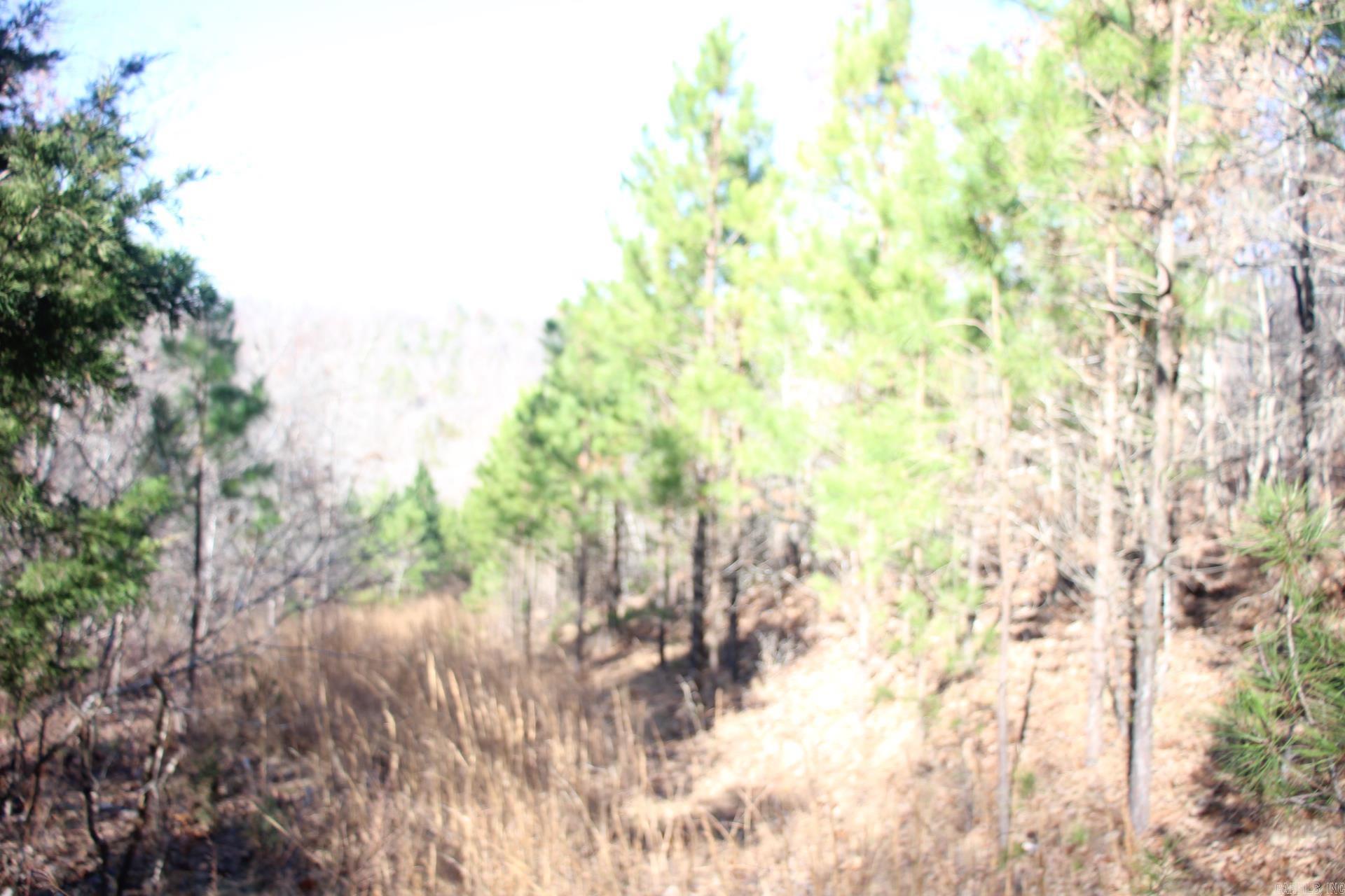 001-00494-003 Tator Knob Lane Property Photo 14