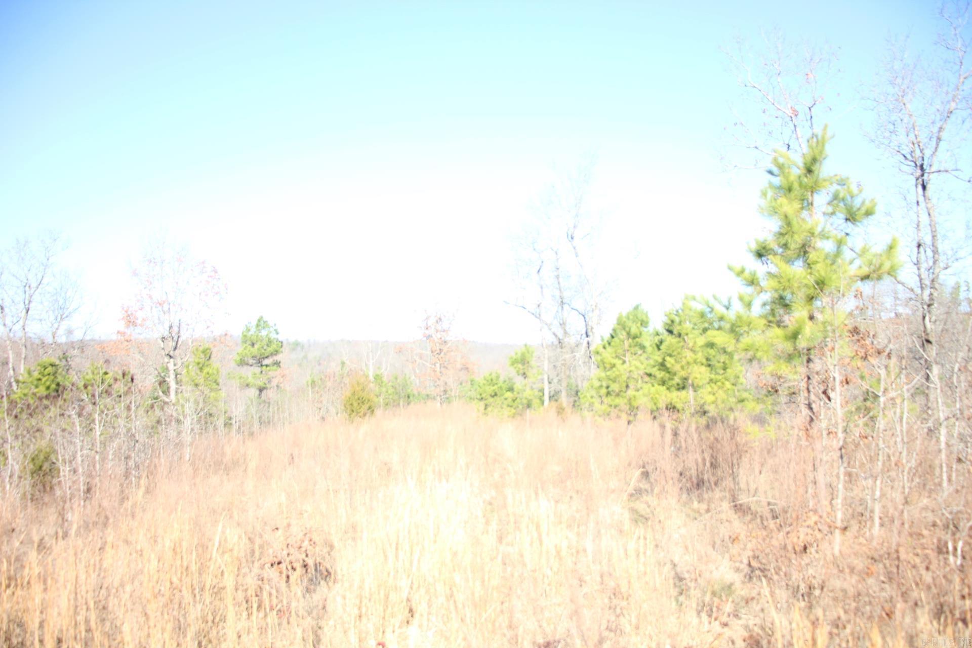 001-00494-003 Tator Knob Lane Property Photo 15