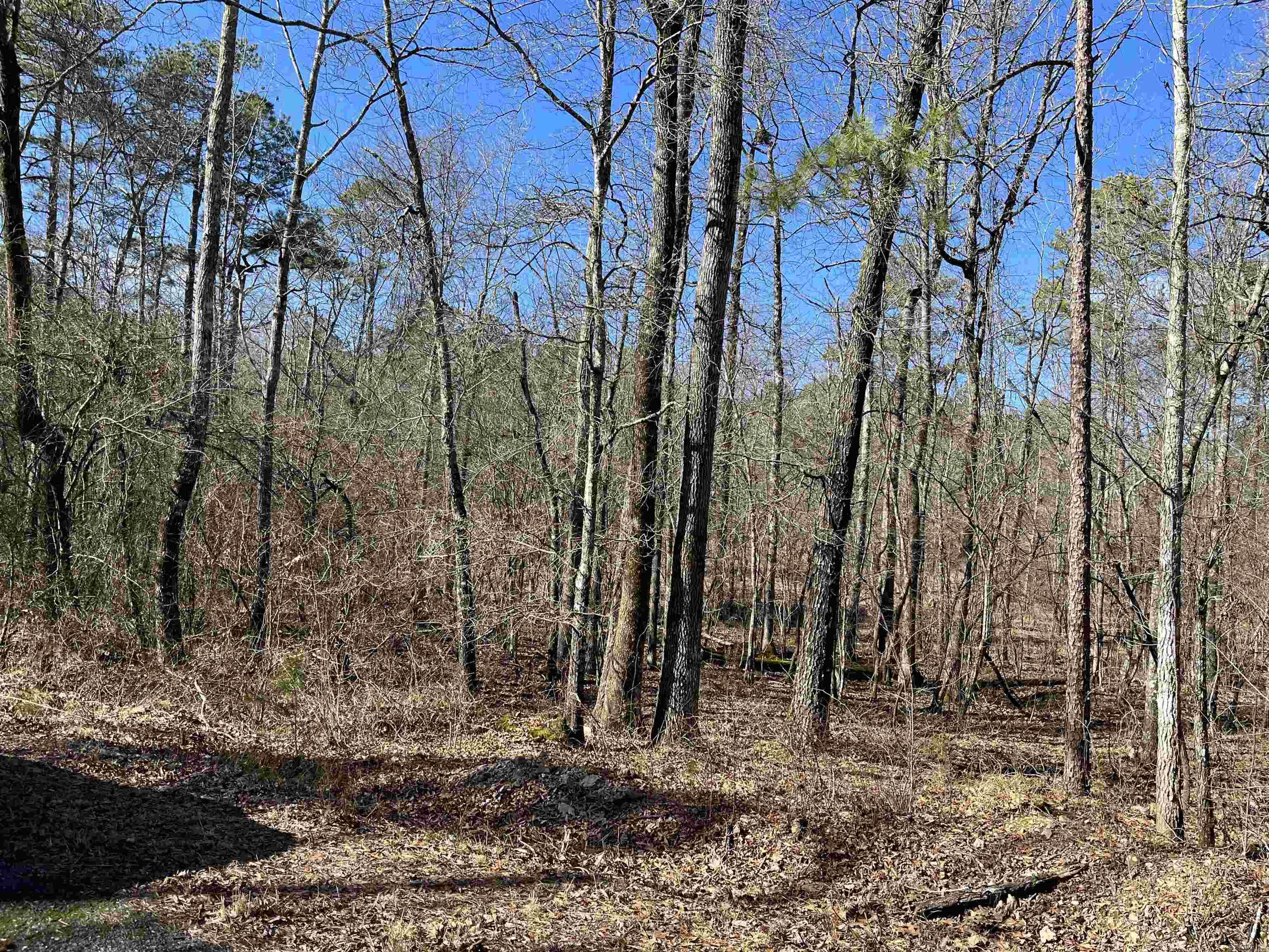 2 Murillo Circle Property Photo 1