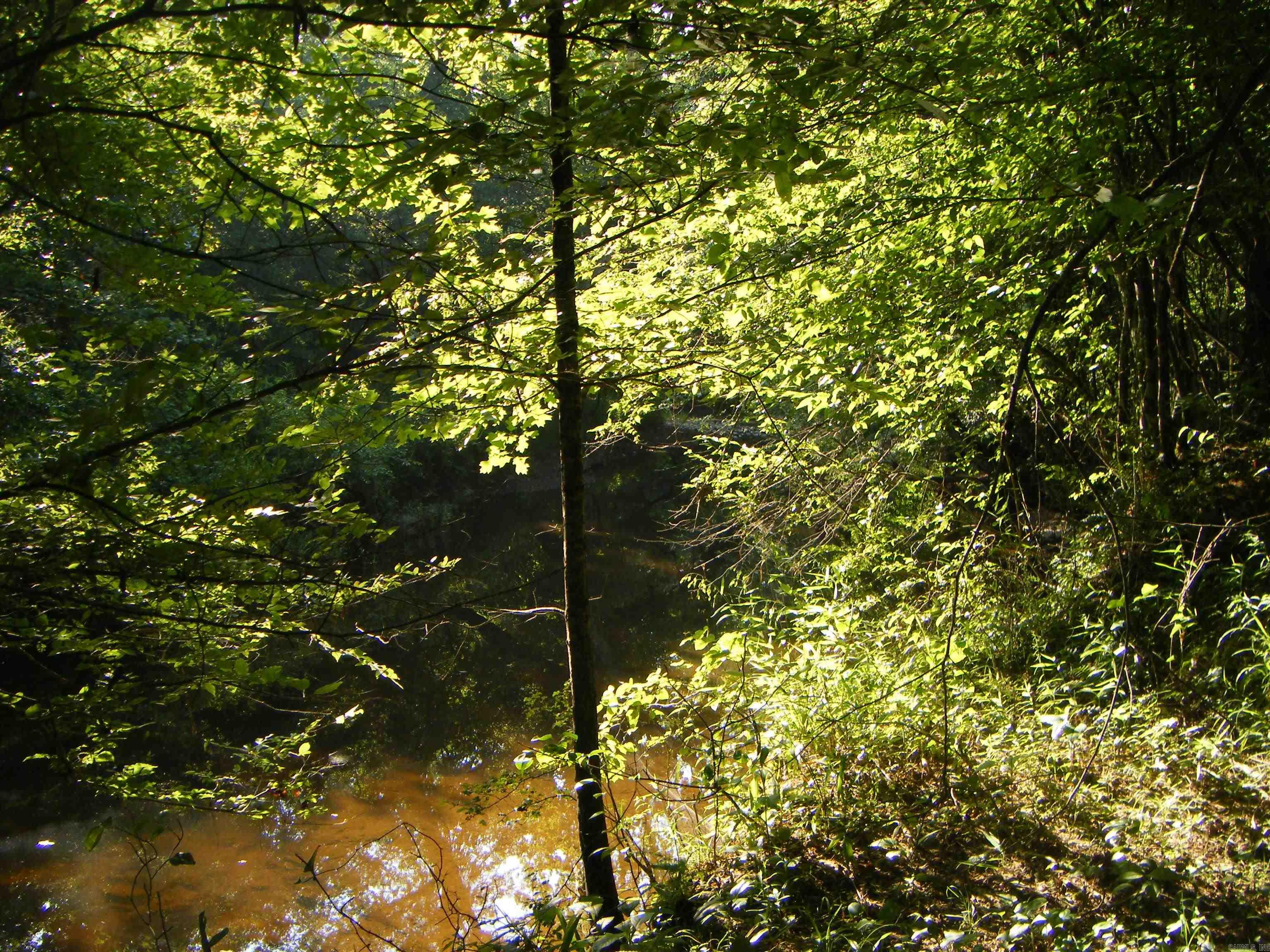 Tbd Mosley Road Property Photo 2