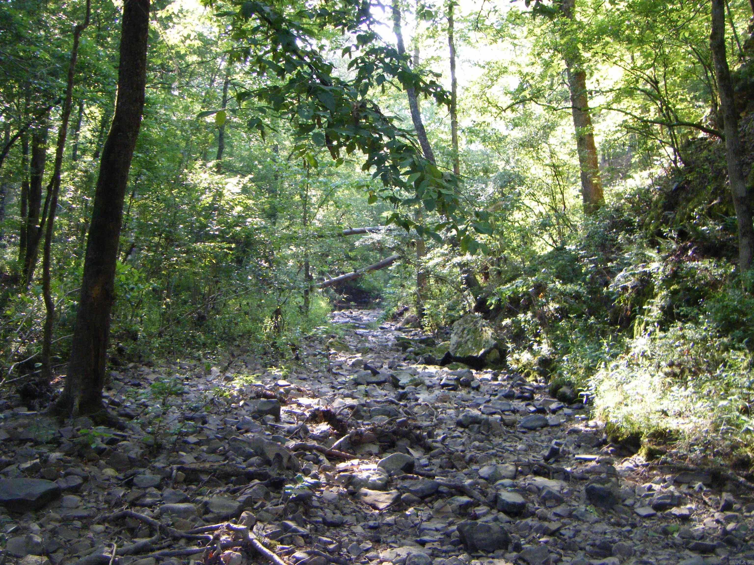 Tbd Mosley Road Property Photo 3