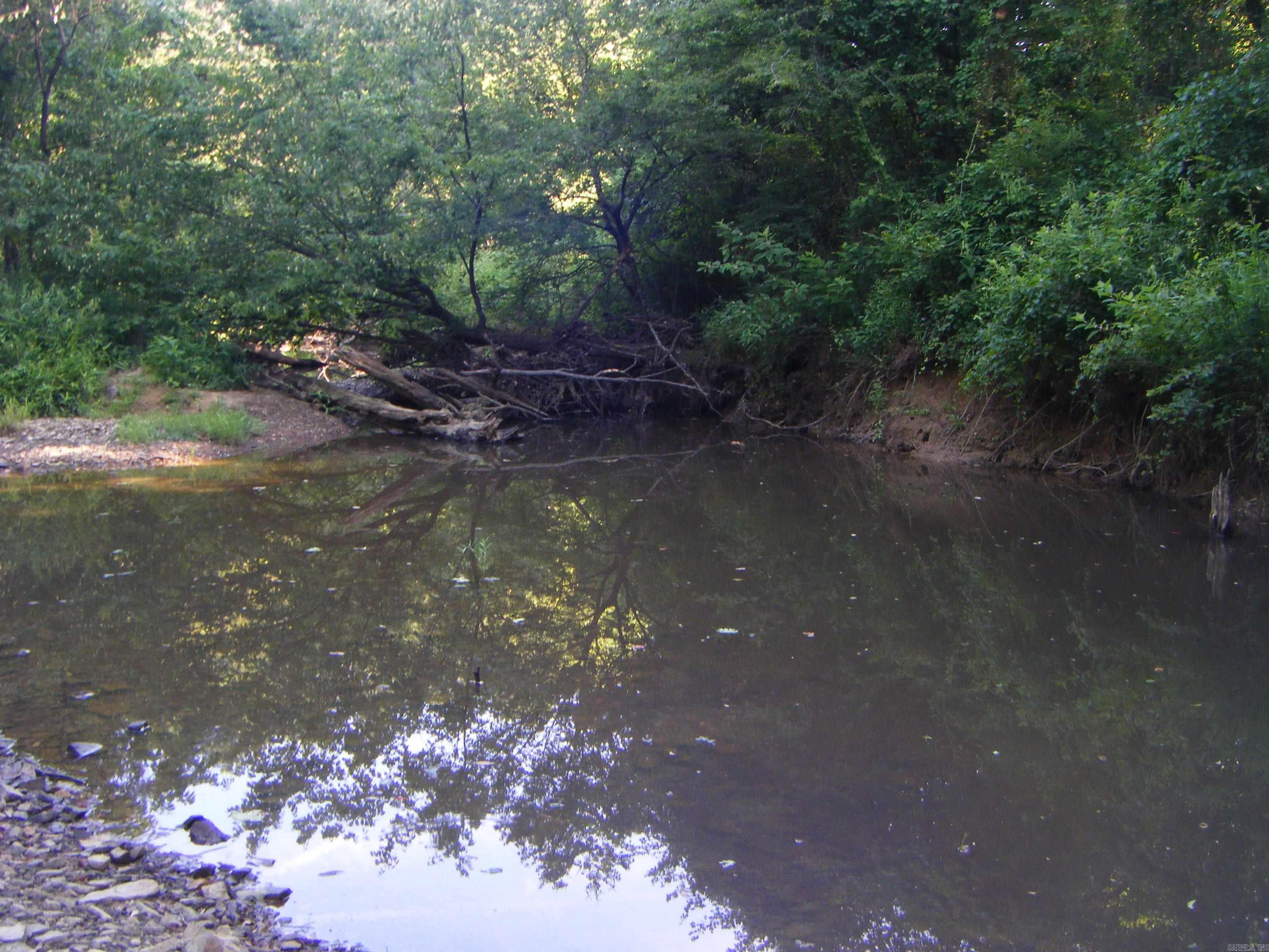 Tbd Mosley Road Property Photo 5