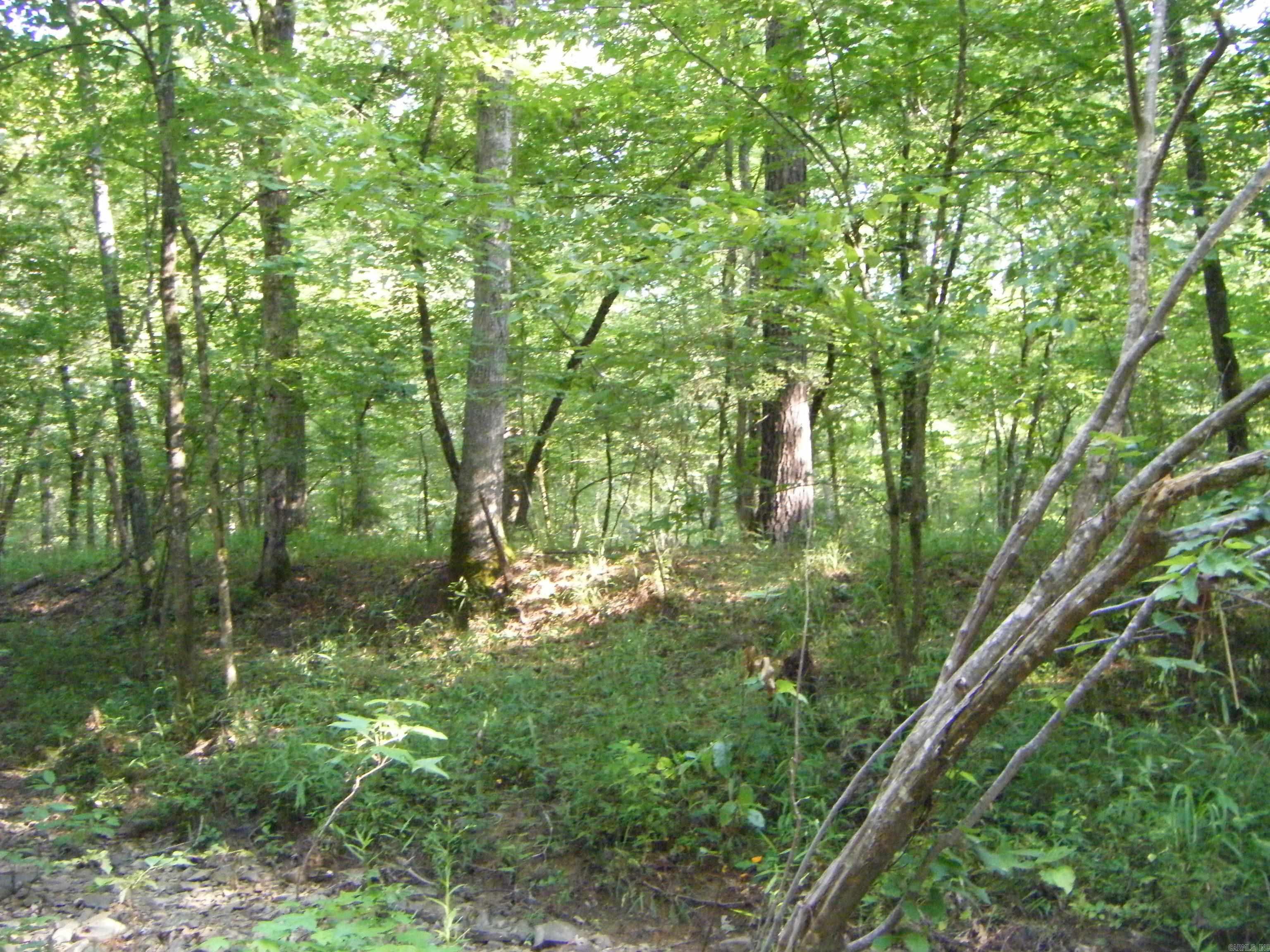 Tbd Mosley Road Property Photo 6