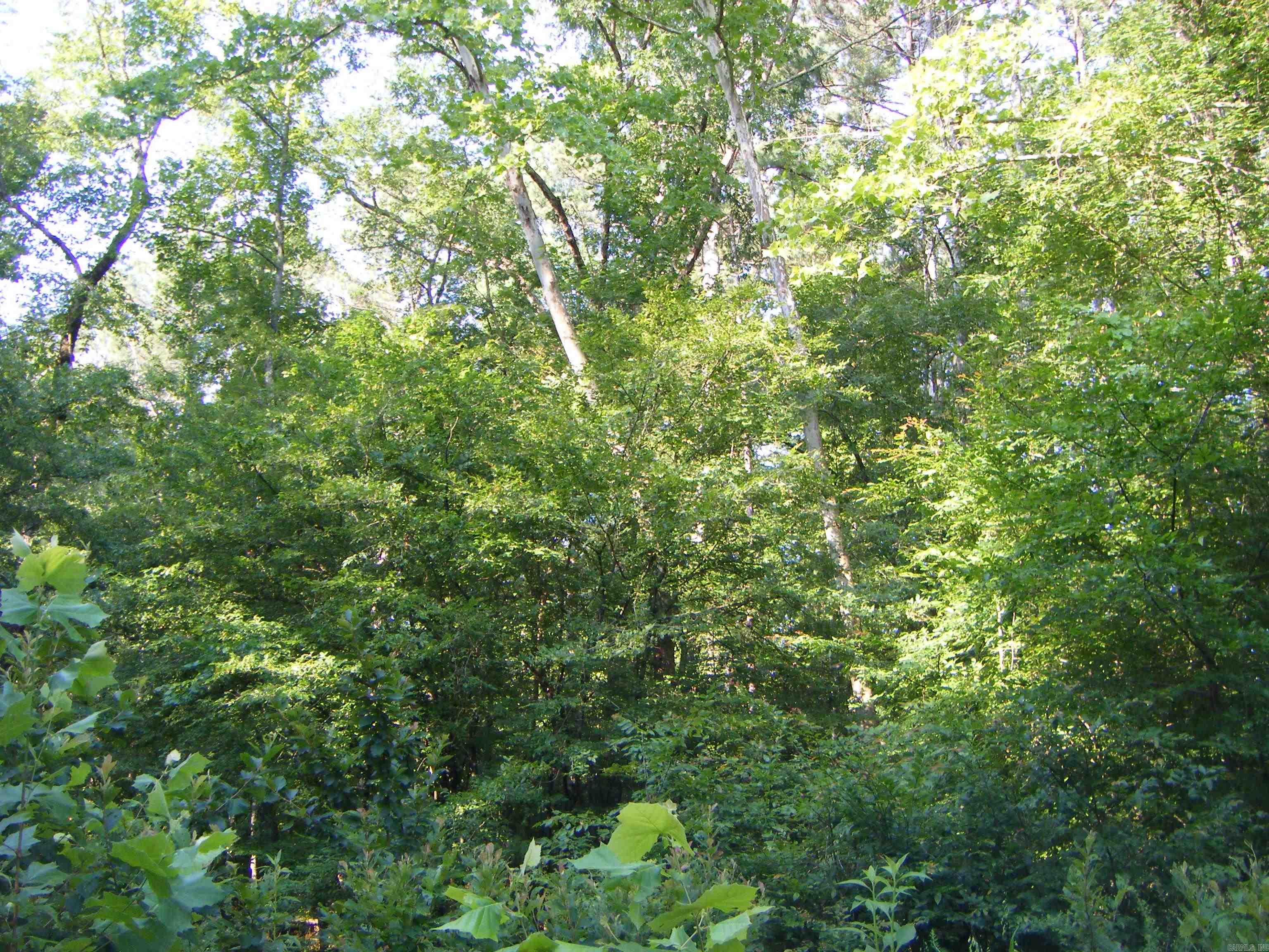 Tbd Mosley Road Property Photo 8