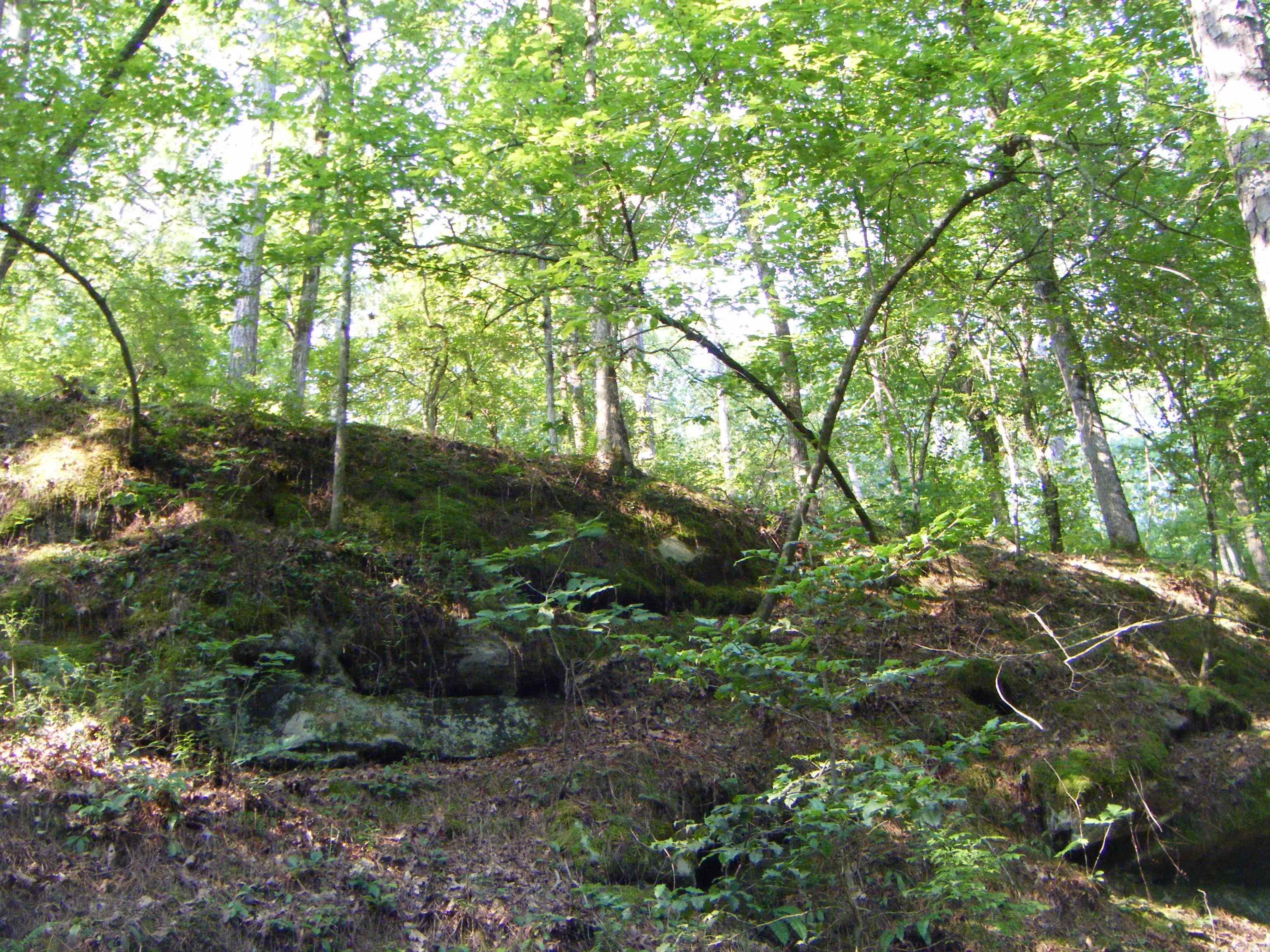 Tbd Mosley Road Property Photo 10