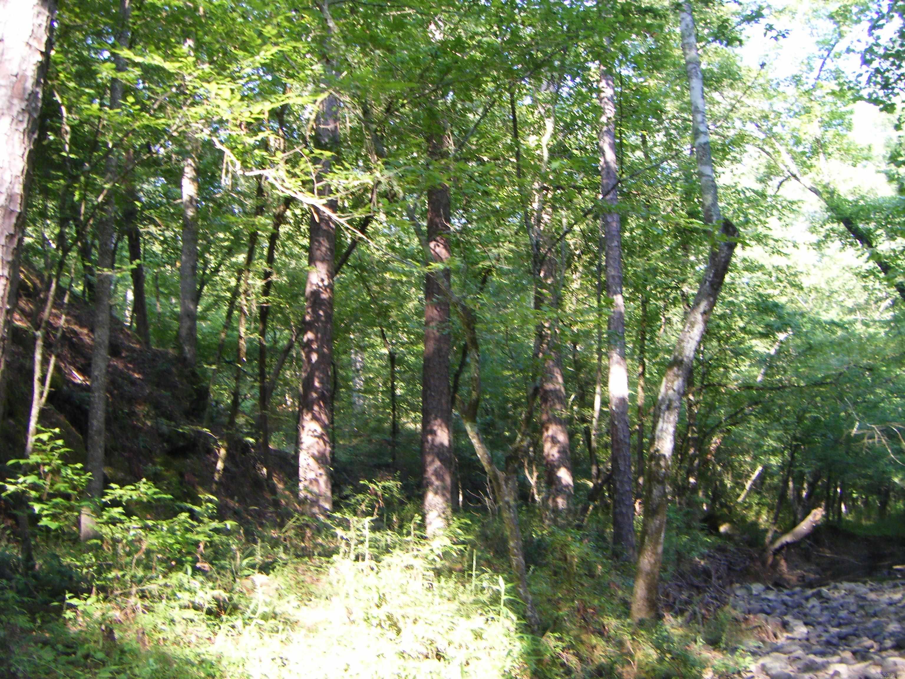 Tbd Mosley Road Property Photo 11