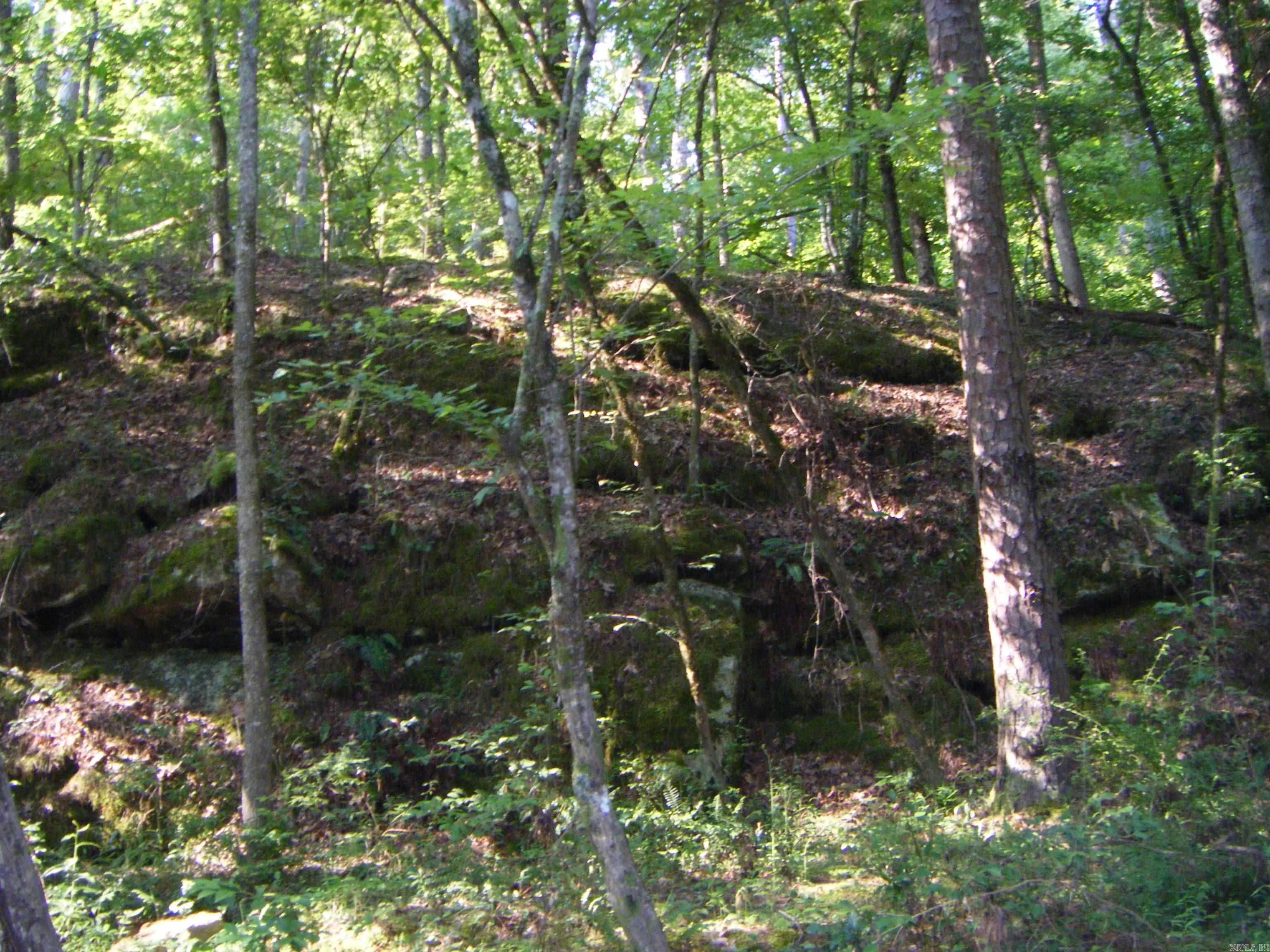 Tbd Mosley Road Property Photo 13