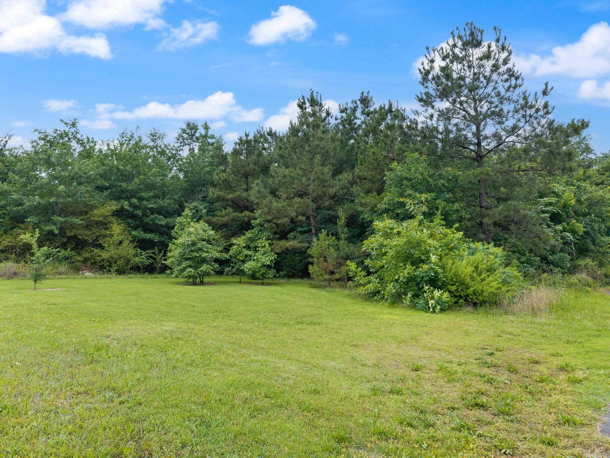 2 Acres Hwy 65 Property Photo 6
