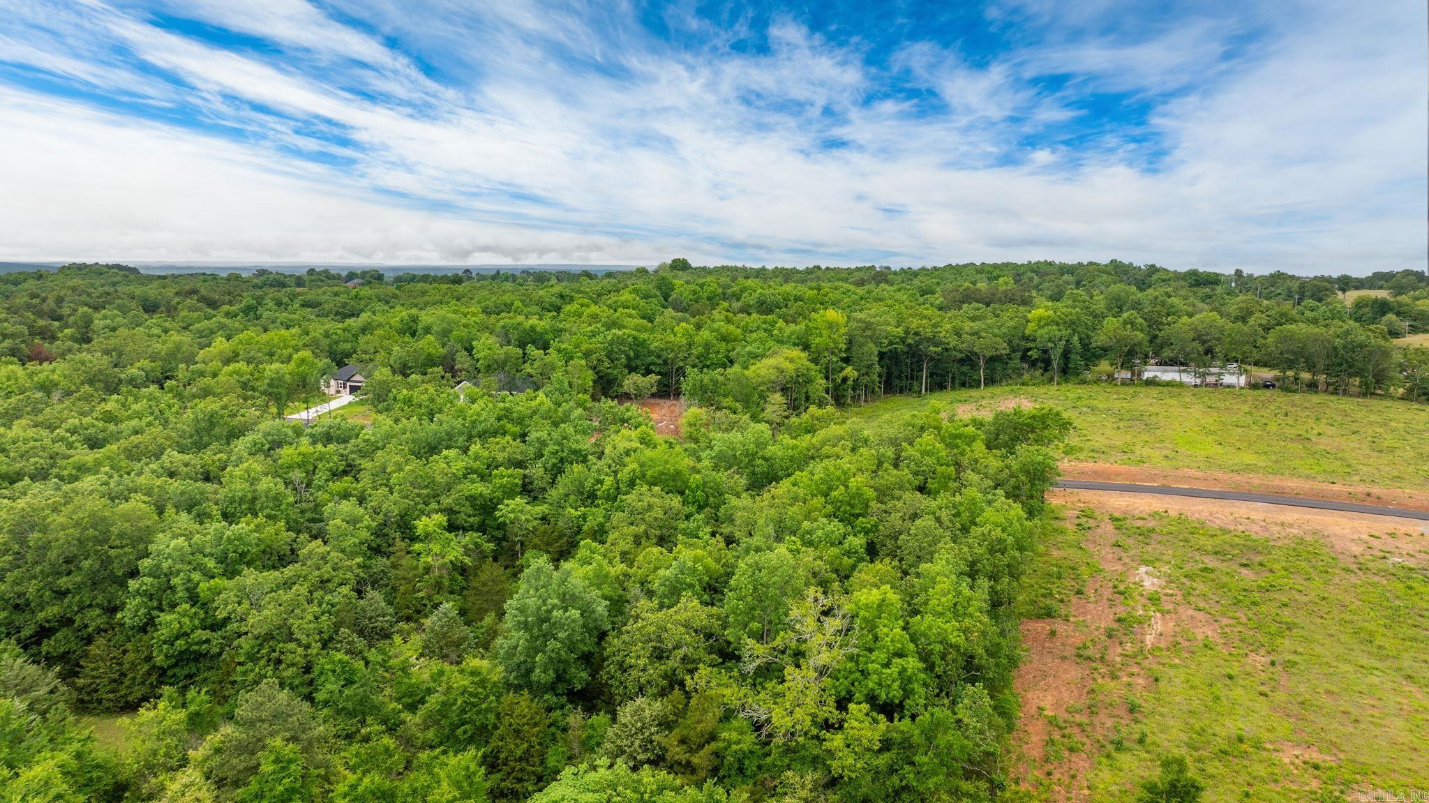 Lot 5 Hwy 65/ Sky Eagle Dr. Property Photo 7