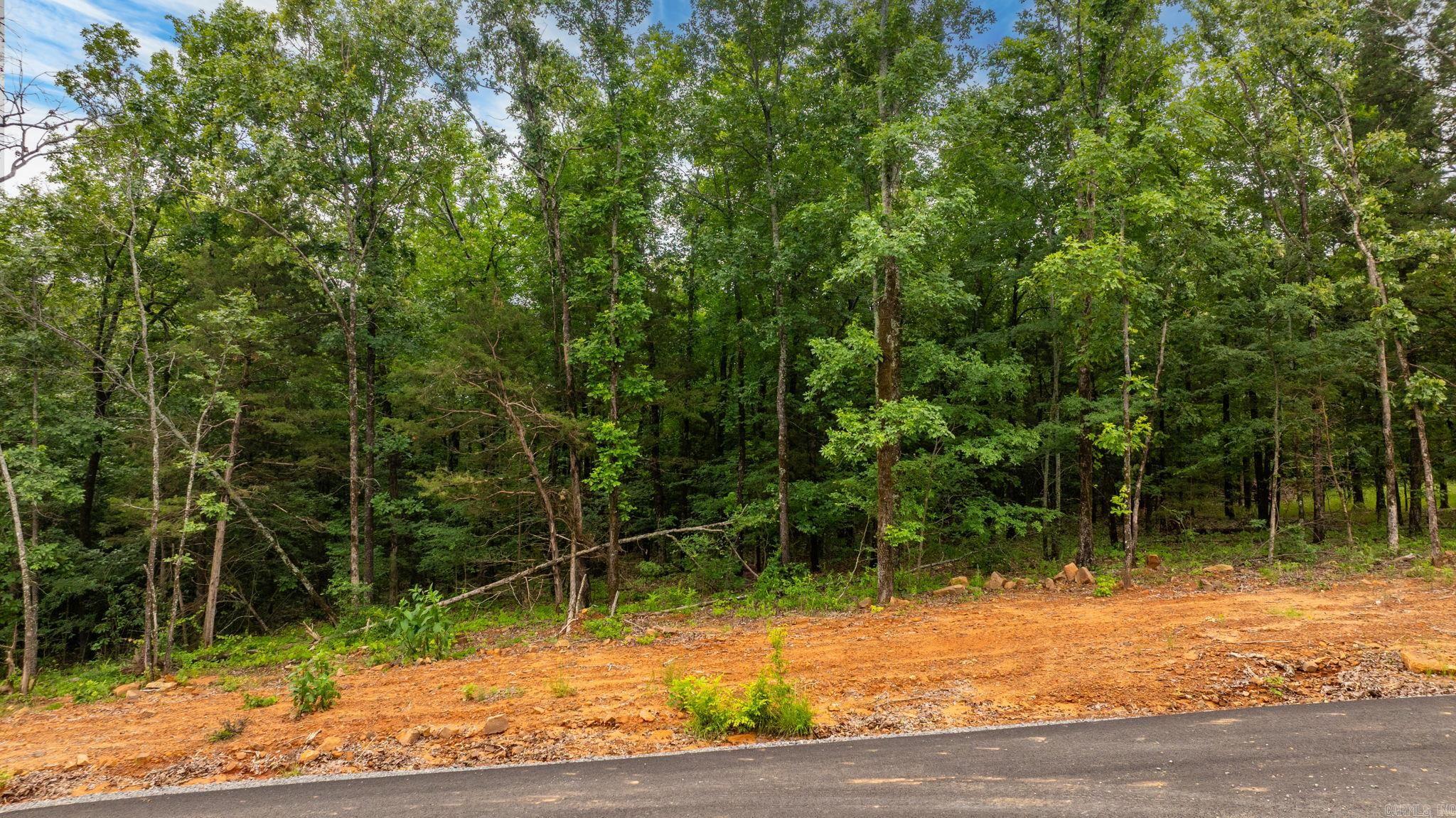 Lot 5 Hwy 65/ Sky Eagle Dr. Property Photo 10