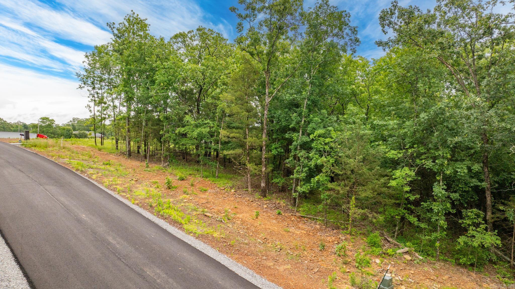 Lot 5 Hwy 65/ Sky Eagle Dr. Property Photo 12
