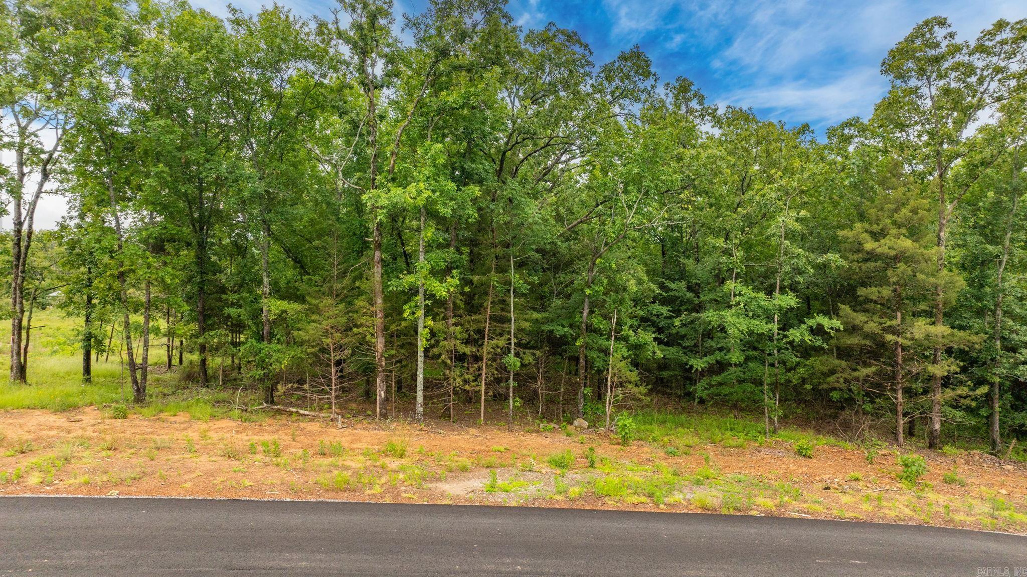 Lot 5 Hwy 65/ Sky Eagle Dr. Property Photo 15